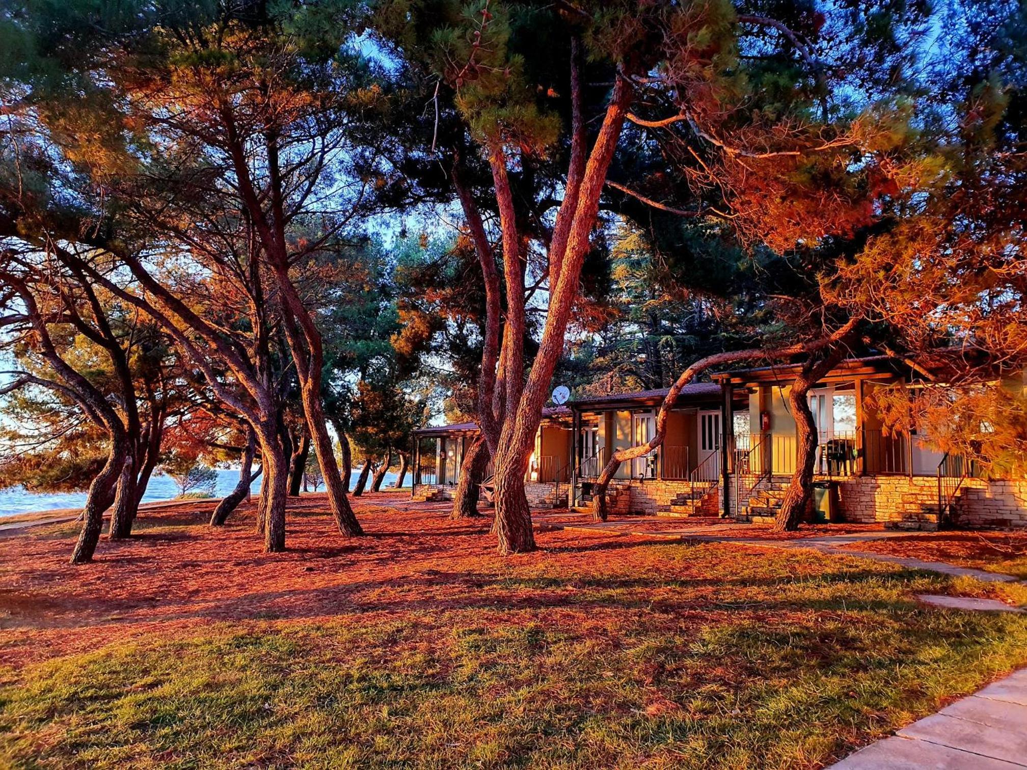 Family Bungalow Pineta view 2