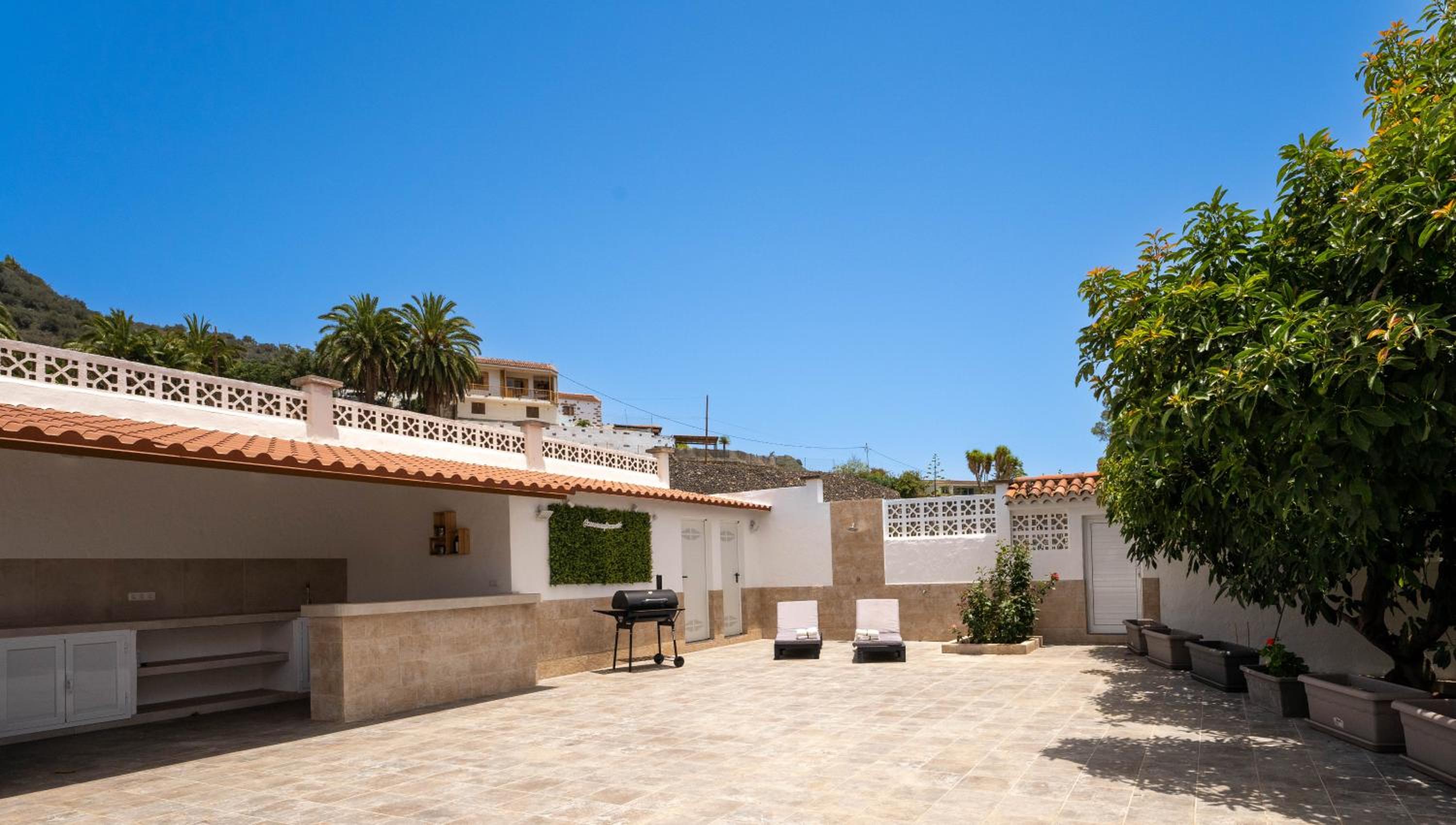 Finca Artiles