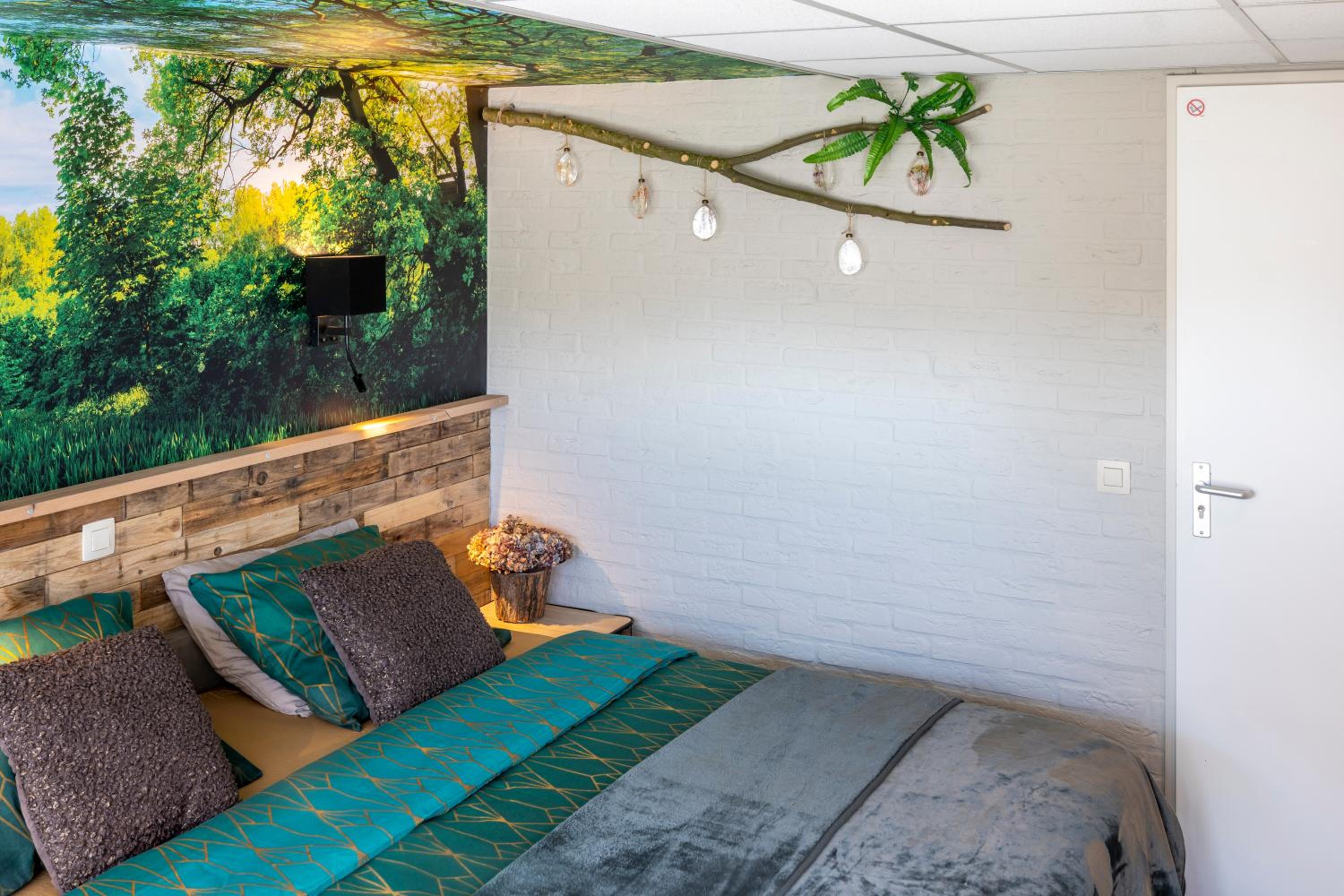 B&B de Ster van Dwingeloo