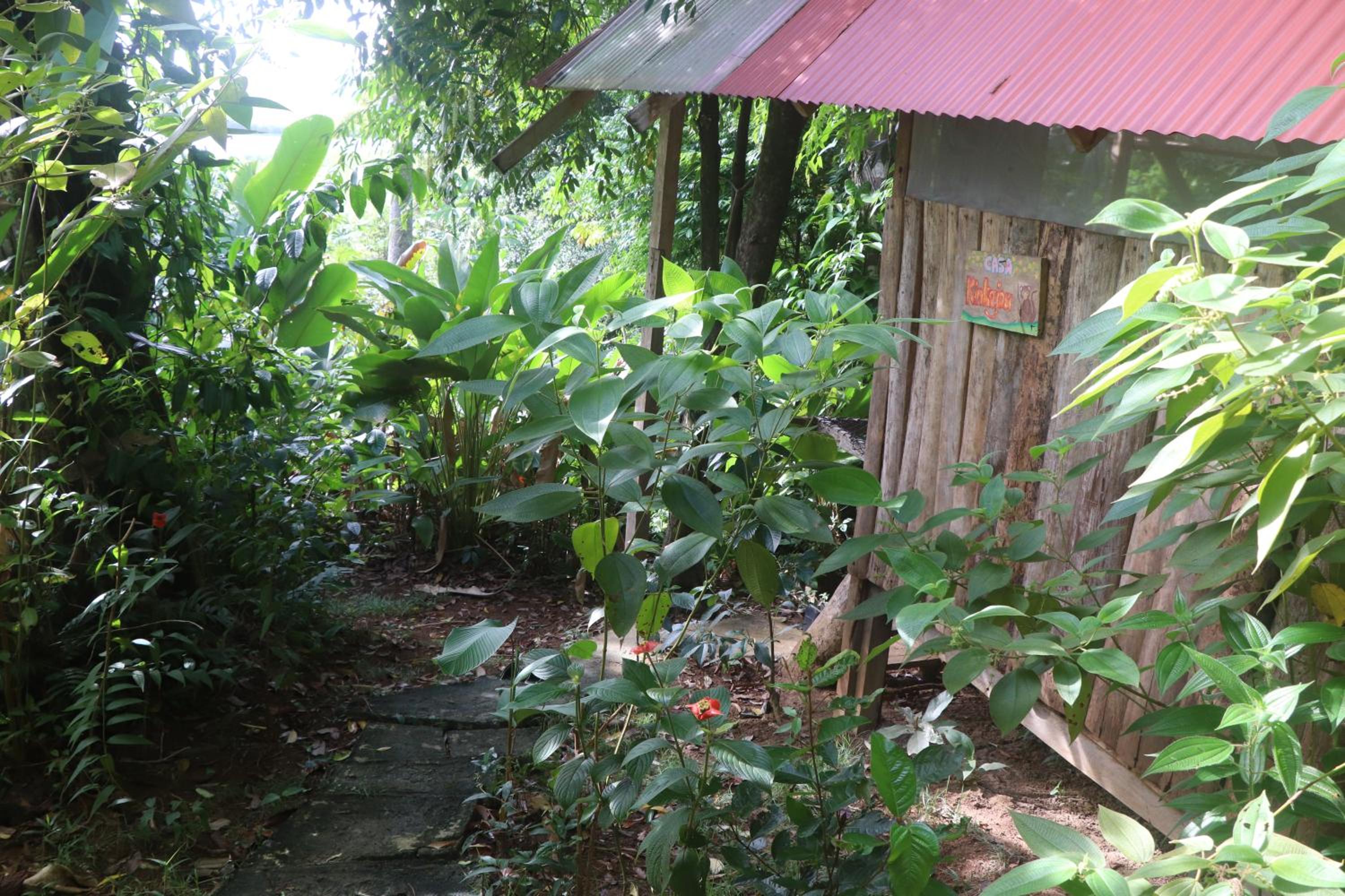 Photo 33