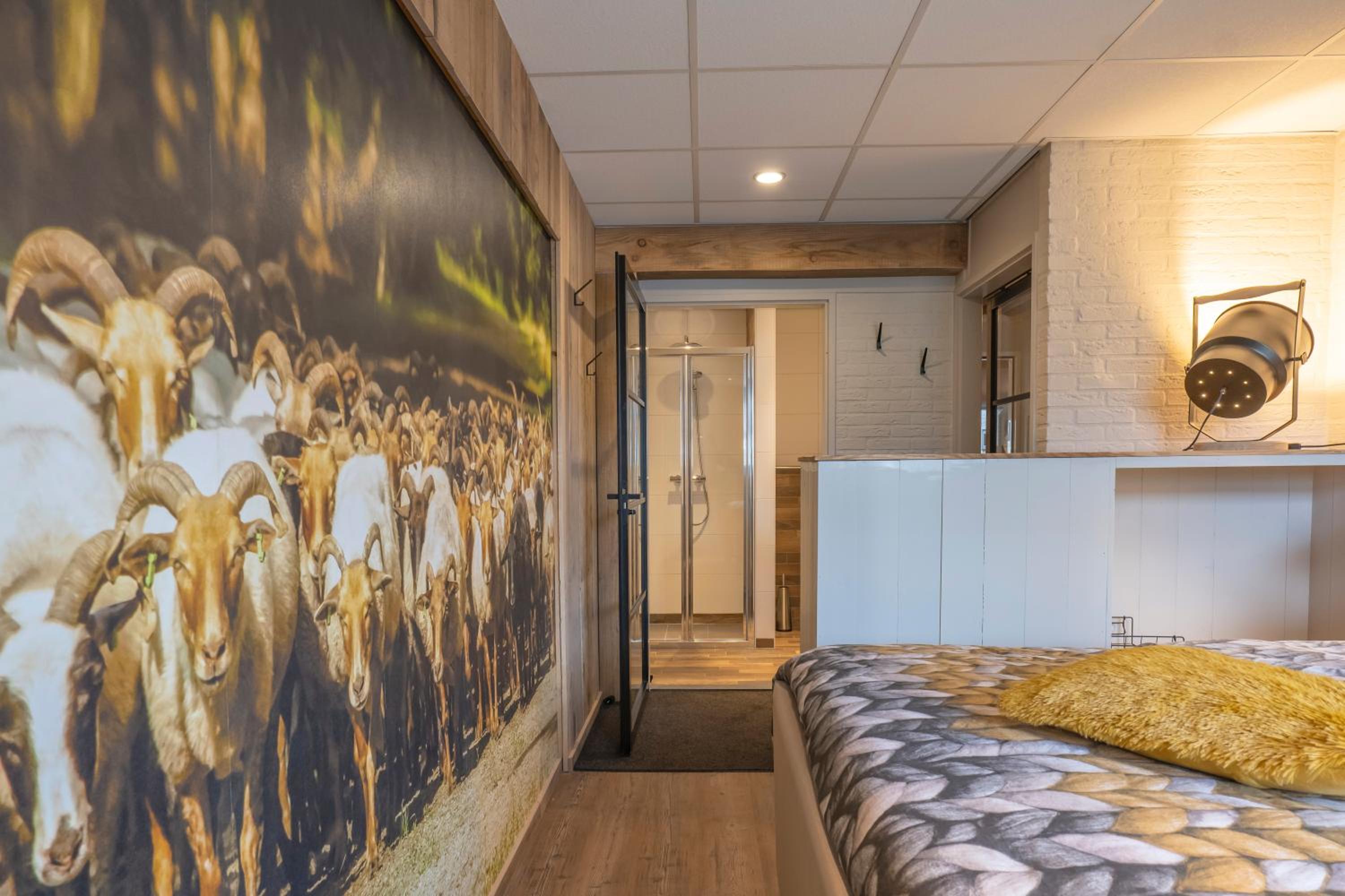 B&B de Ster van Dwingeloo
