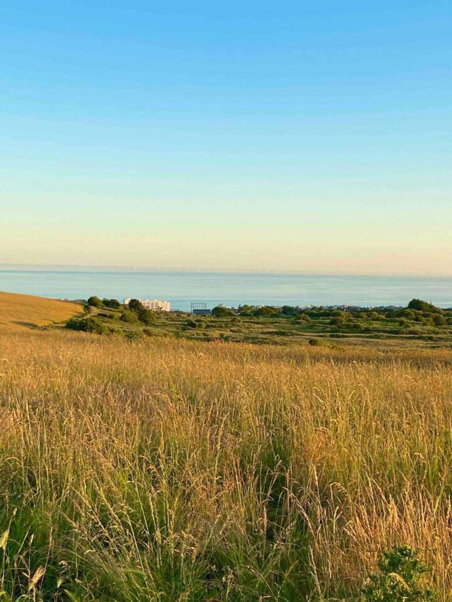 other