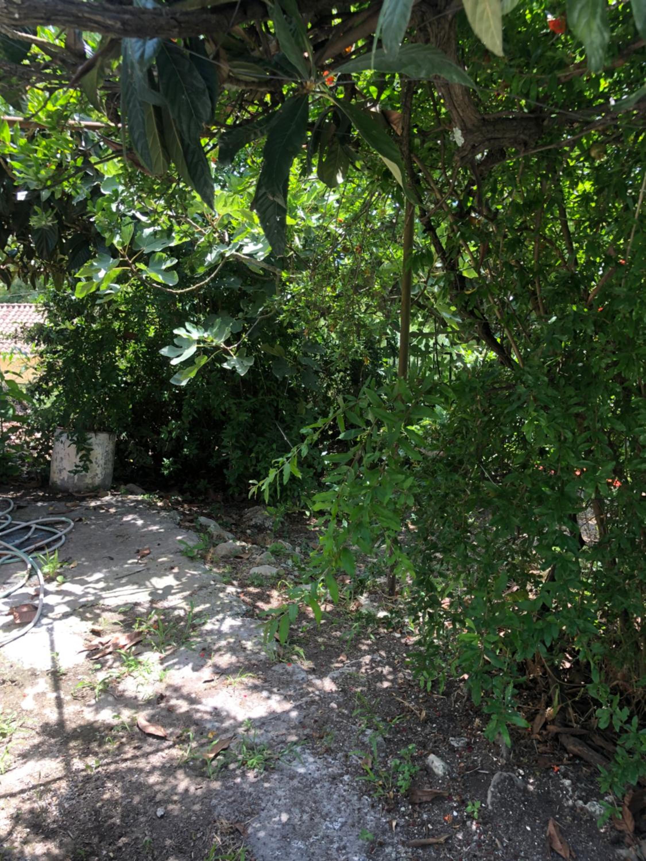 Sias cottage