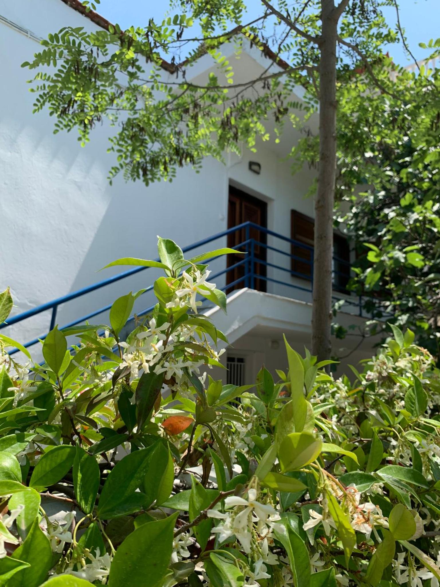 Blue Maison view 5
