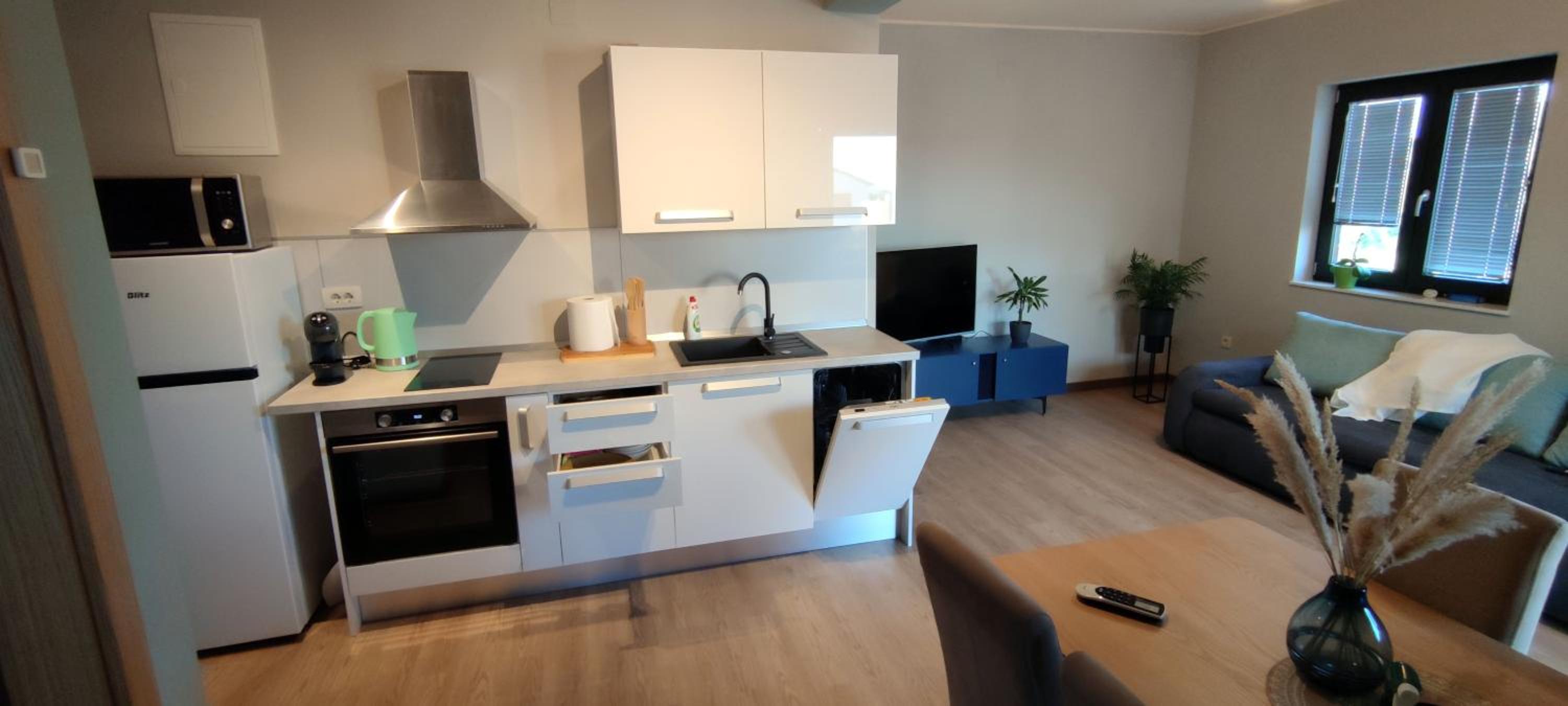 Spacious modern apartment