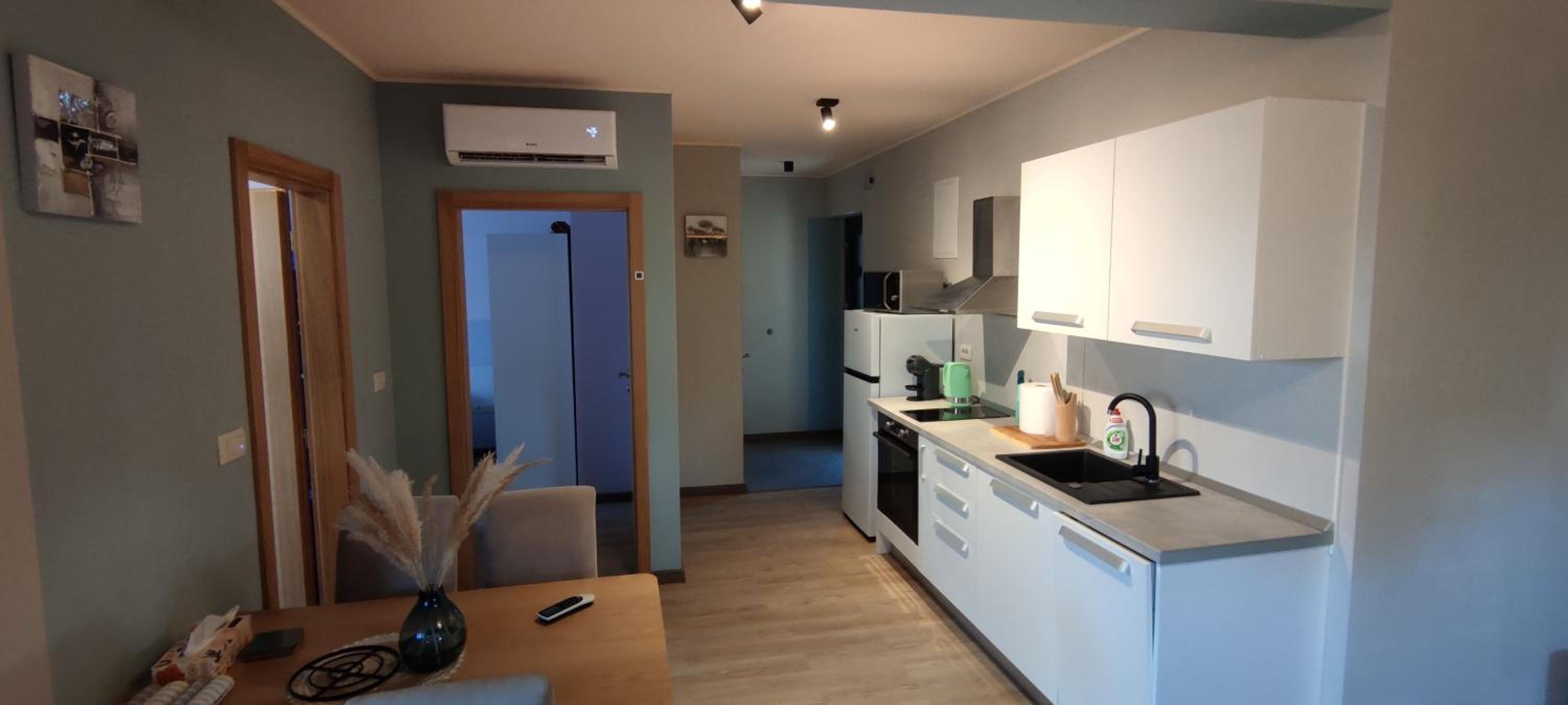 Spacious modern apartment