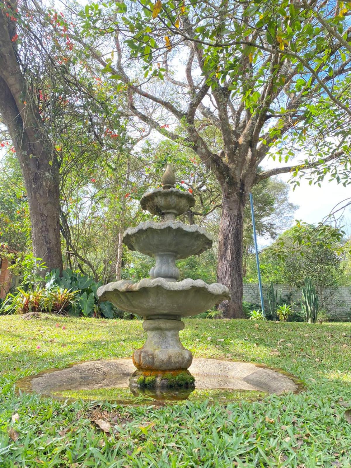 Pousada Flor de Íris