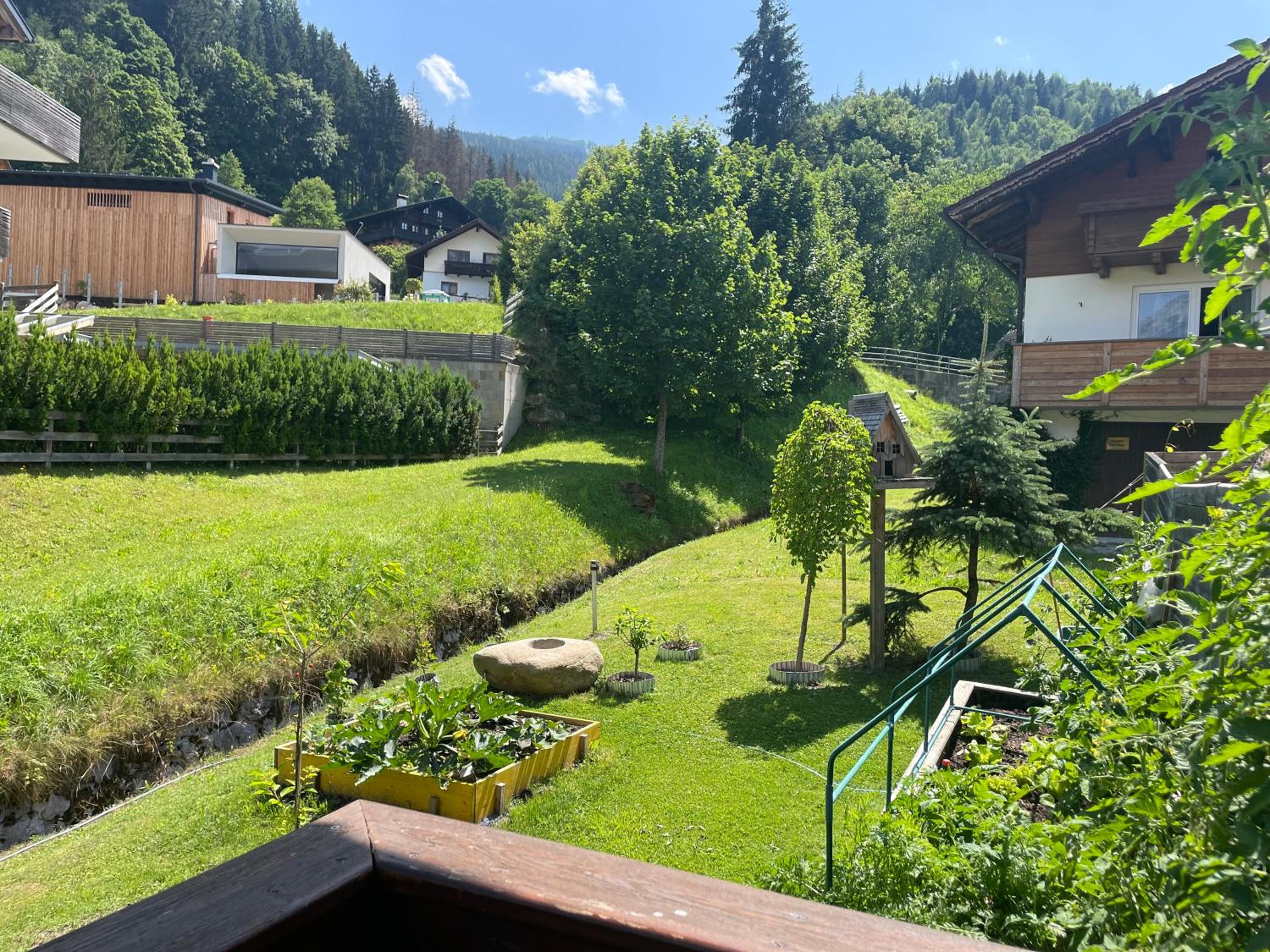 Luserblick