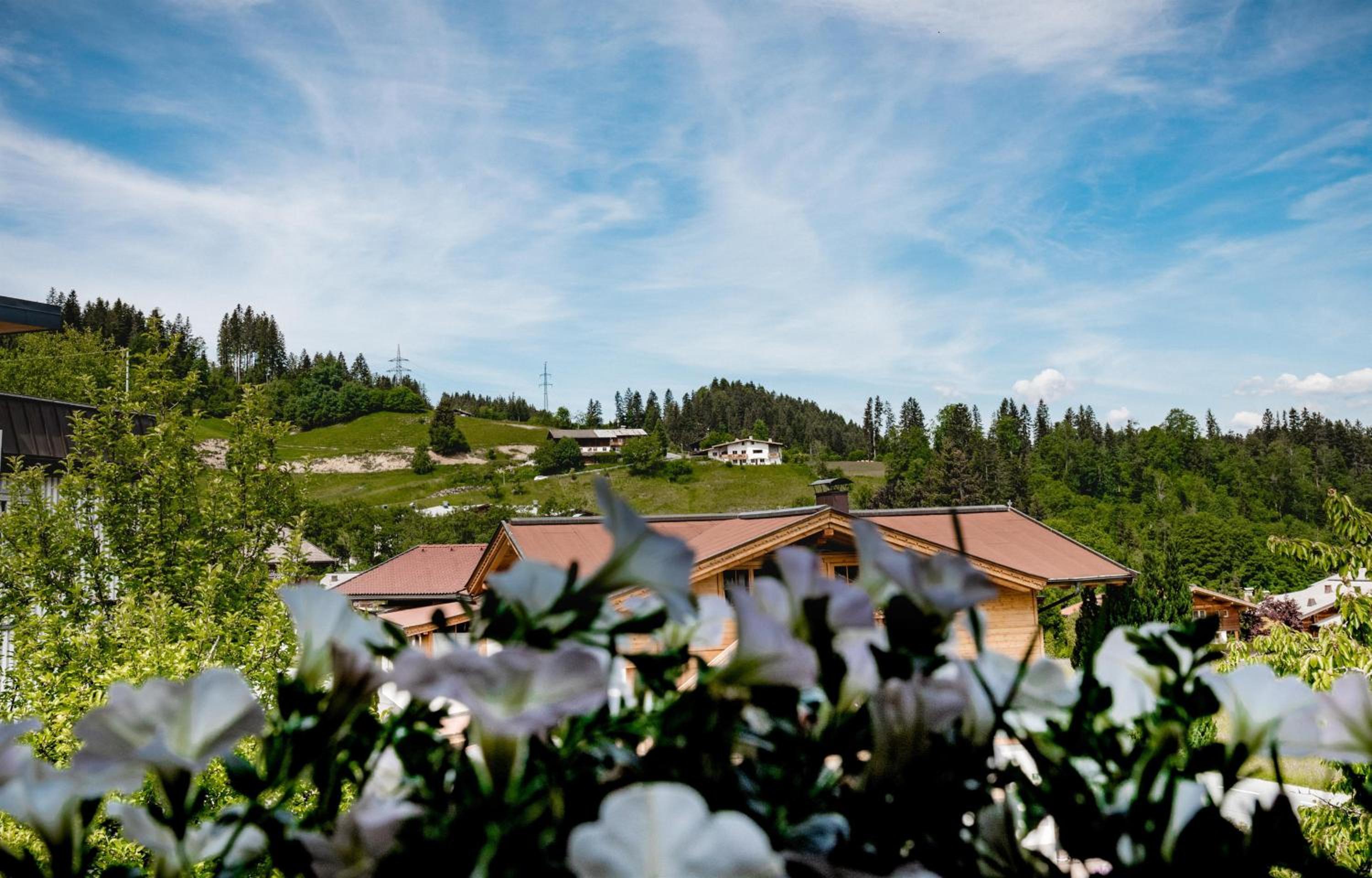 Haus Alpin