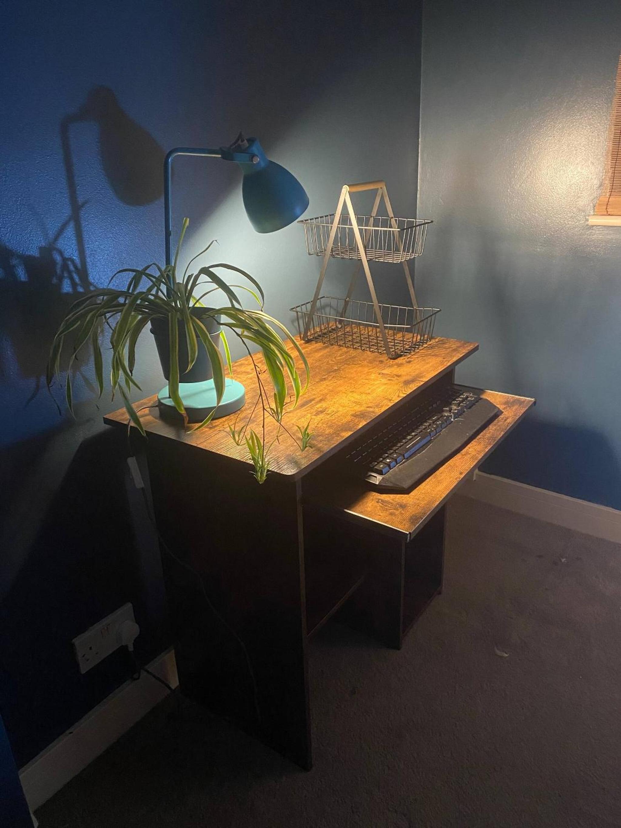 Photo 18