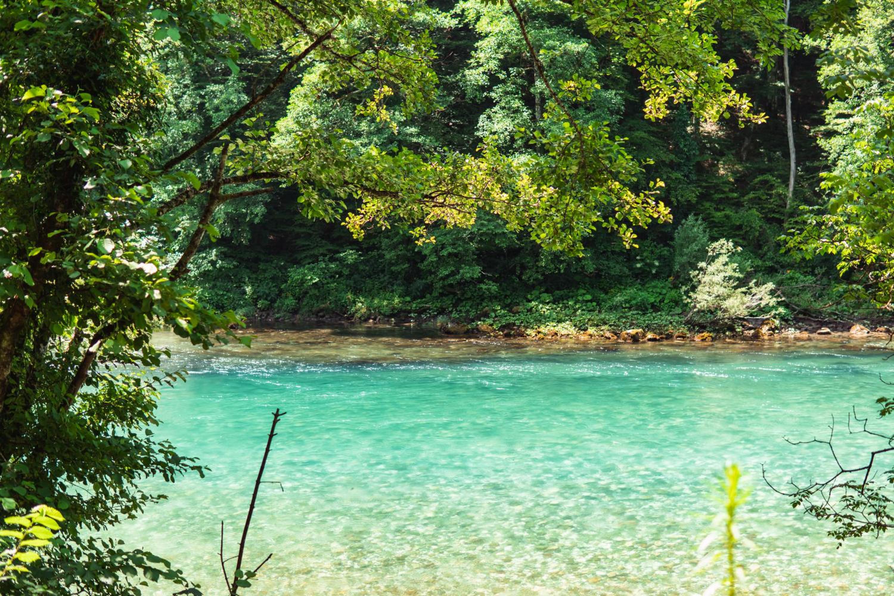 Vucja Gora