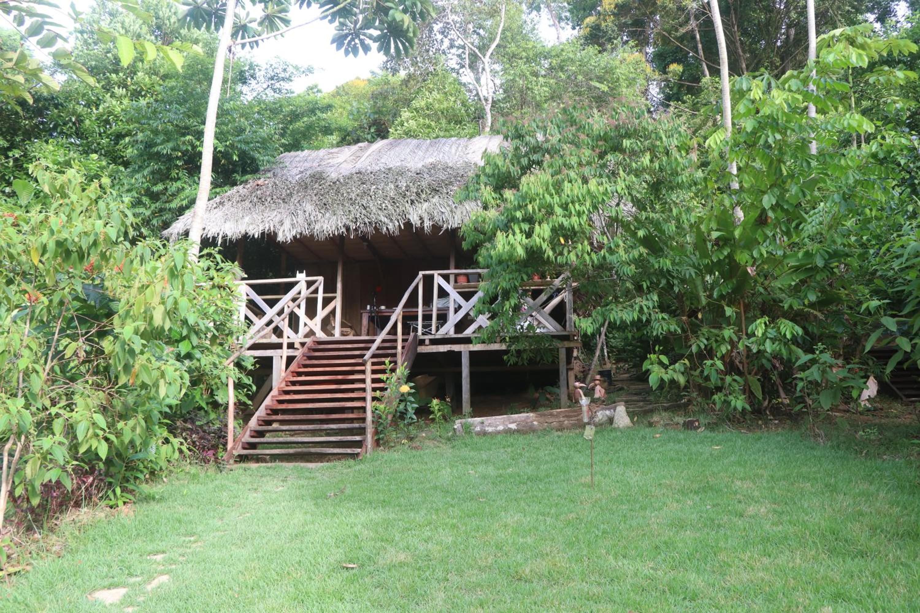 Photo 91