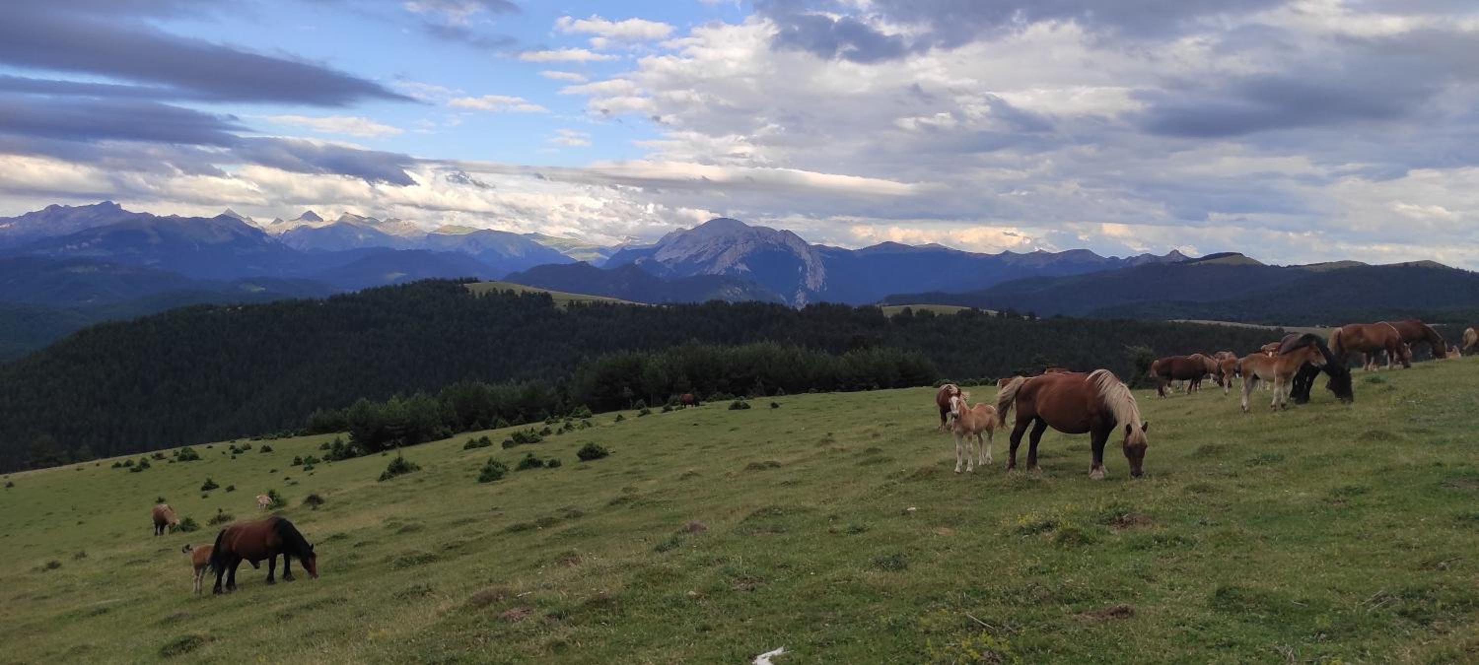 Altxabi Apartamento Rural
