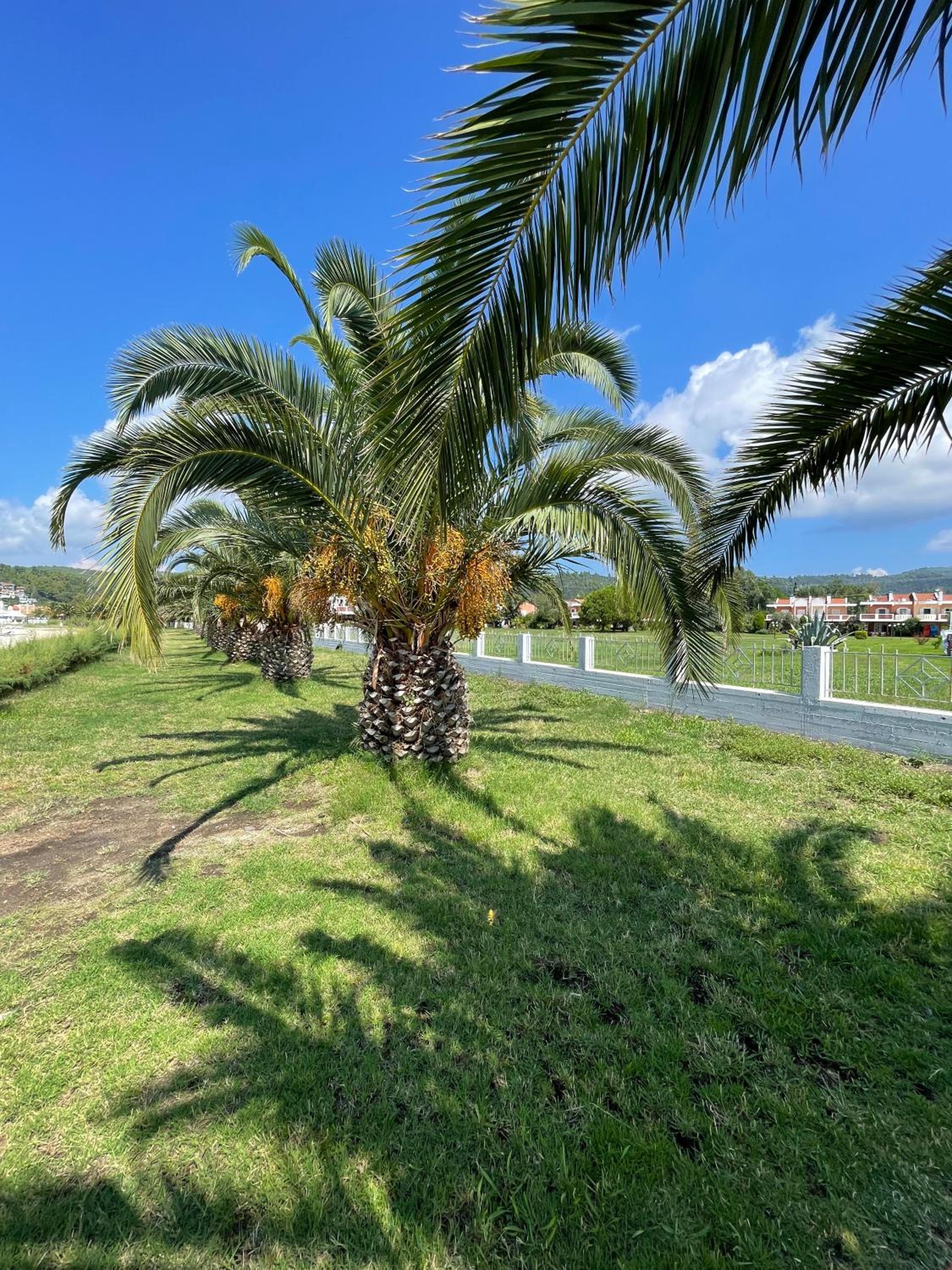 7 person Neos Marmaras beach front villa view 2
