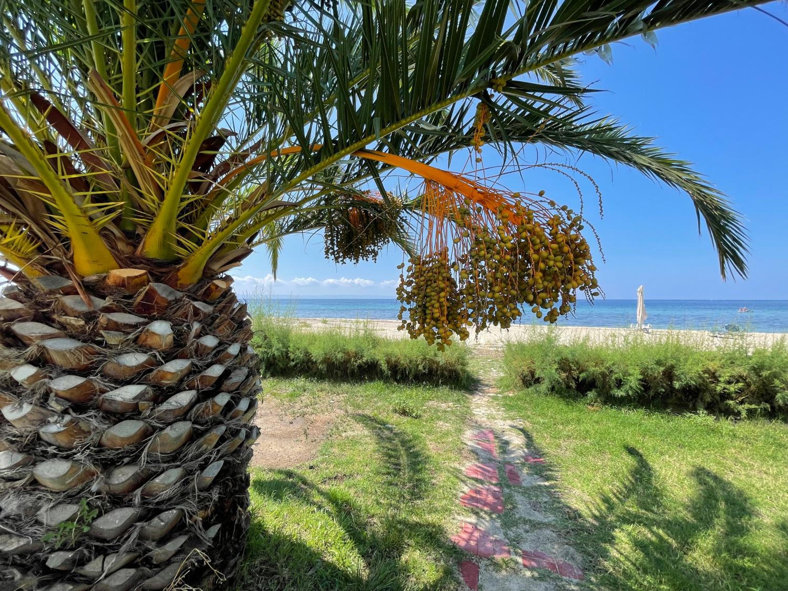 7 person Neos Marmaras beach front villa view 3