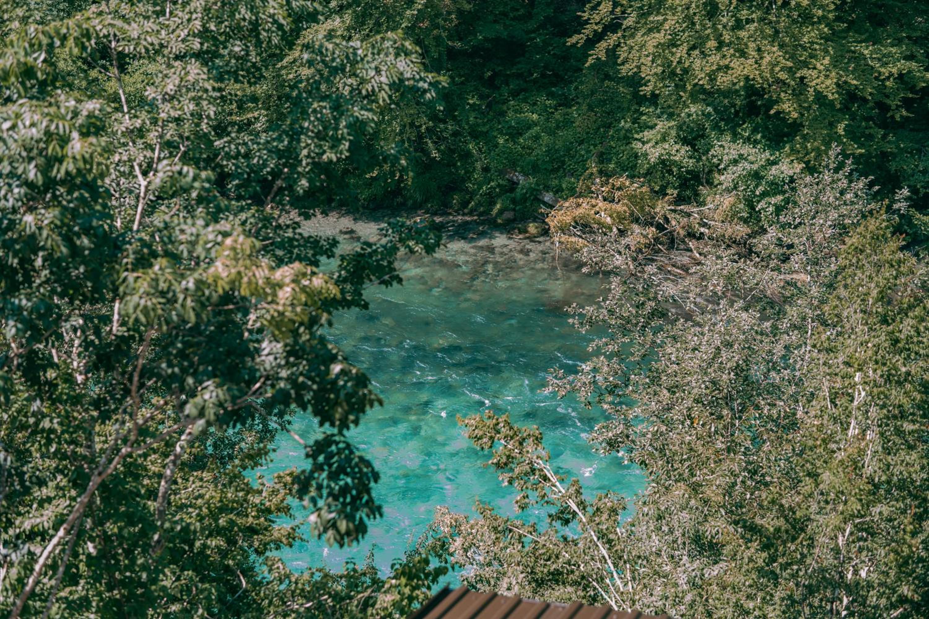 Vucja Gora