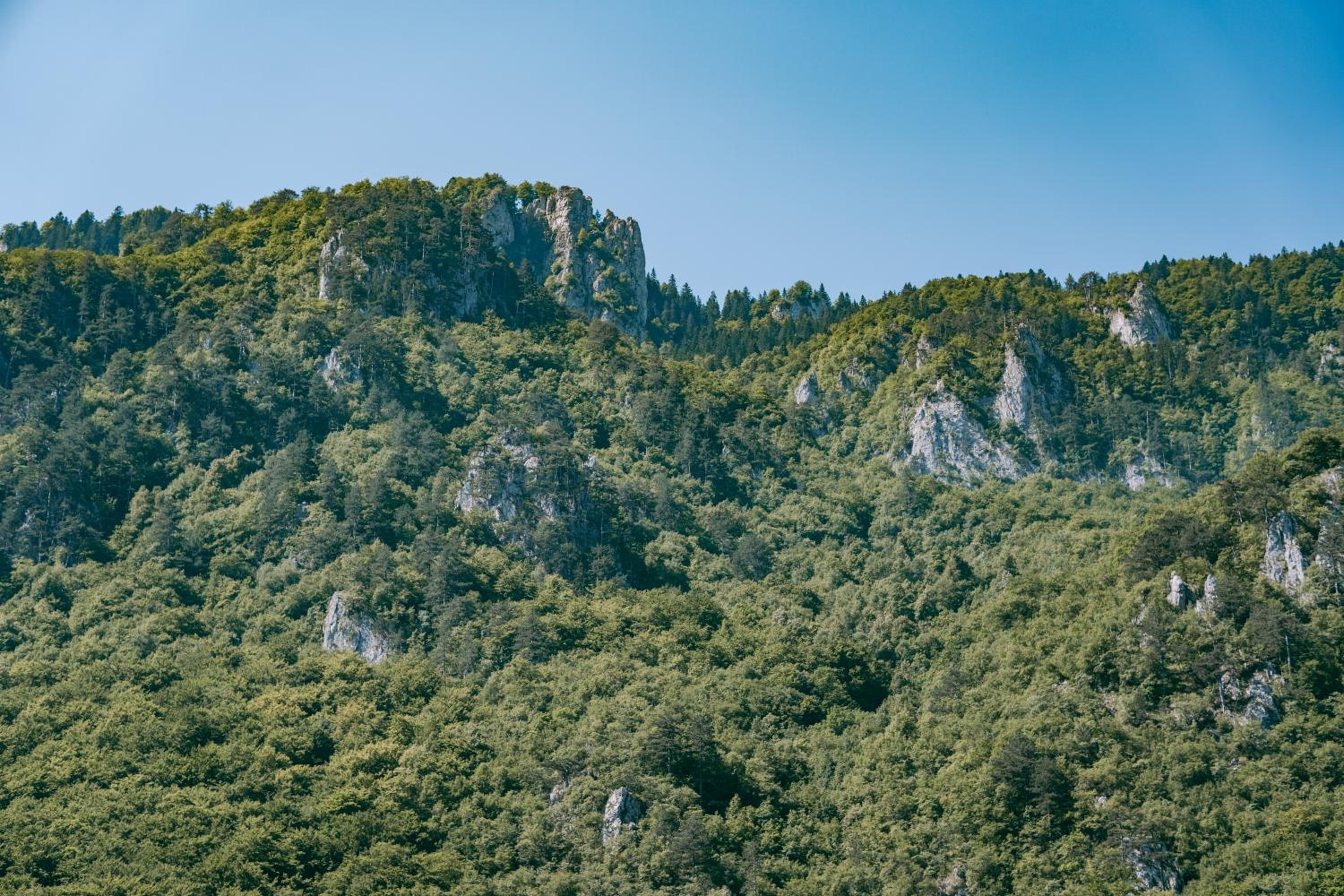 Vucja Gora