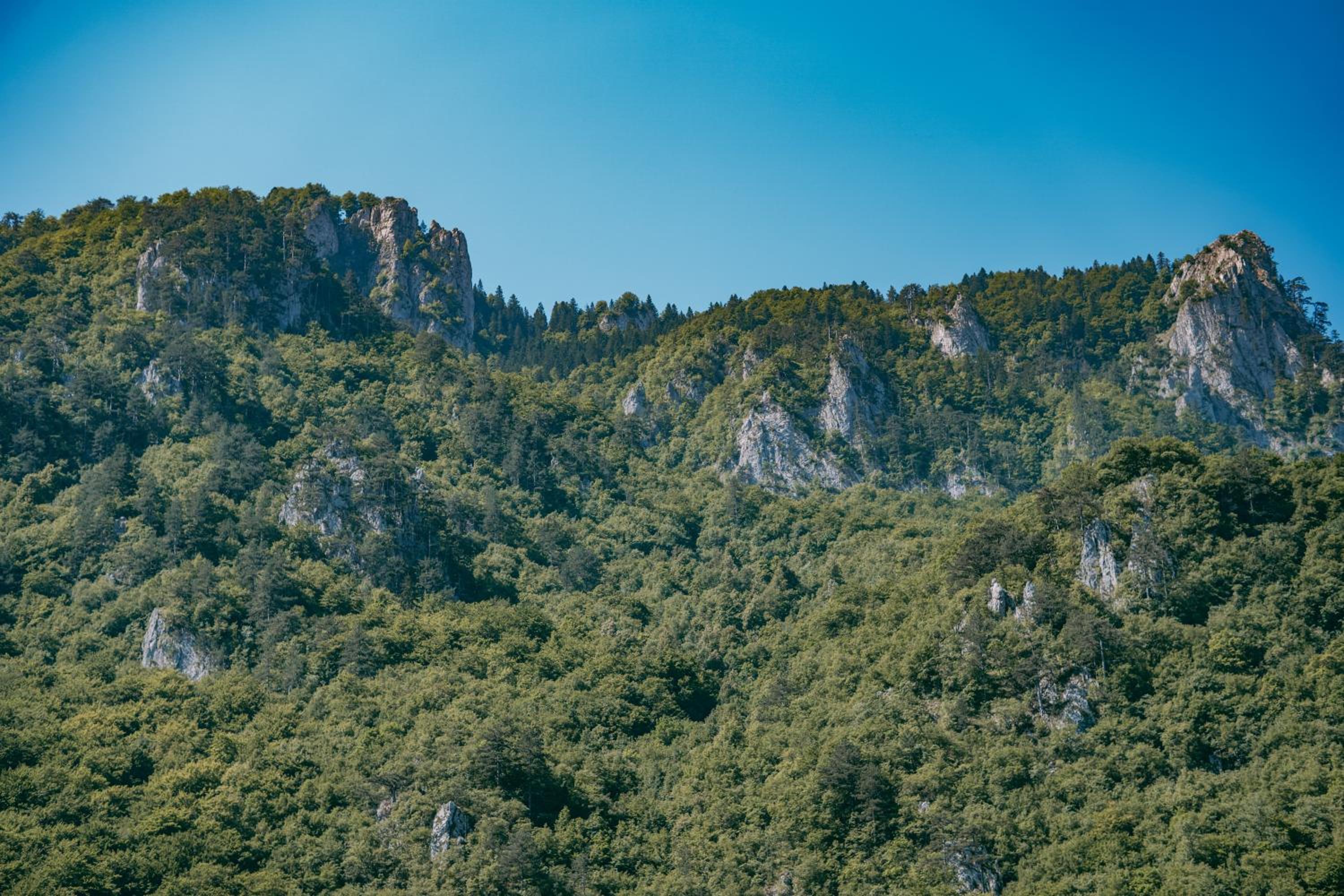 Vucja Gora