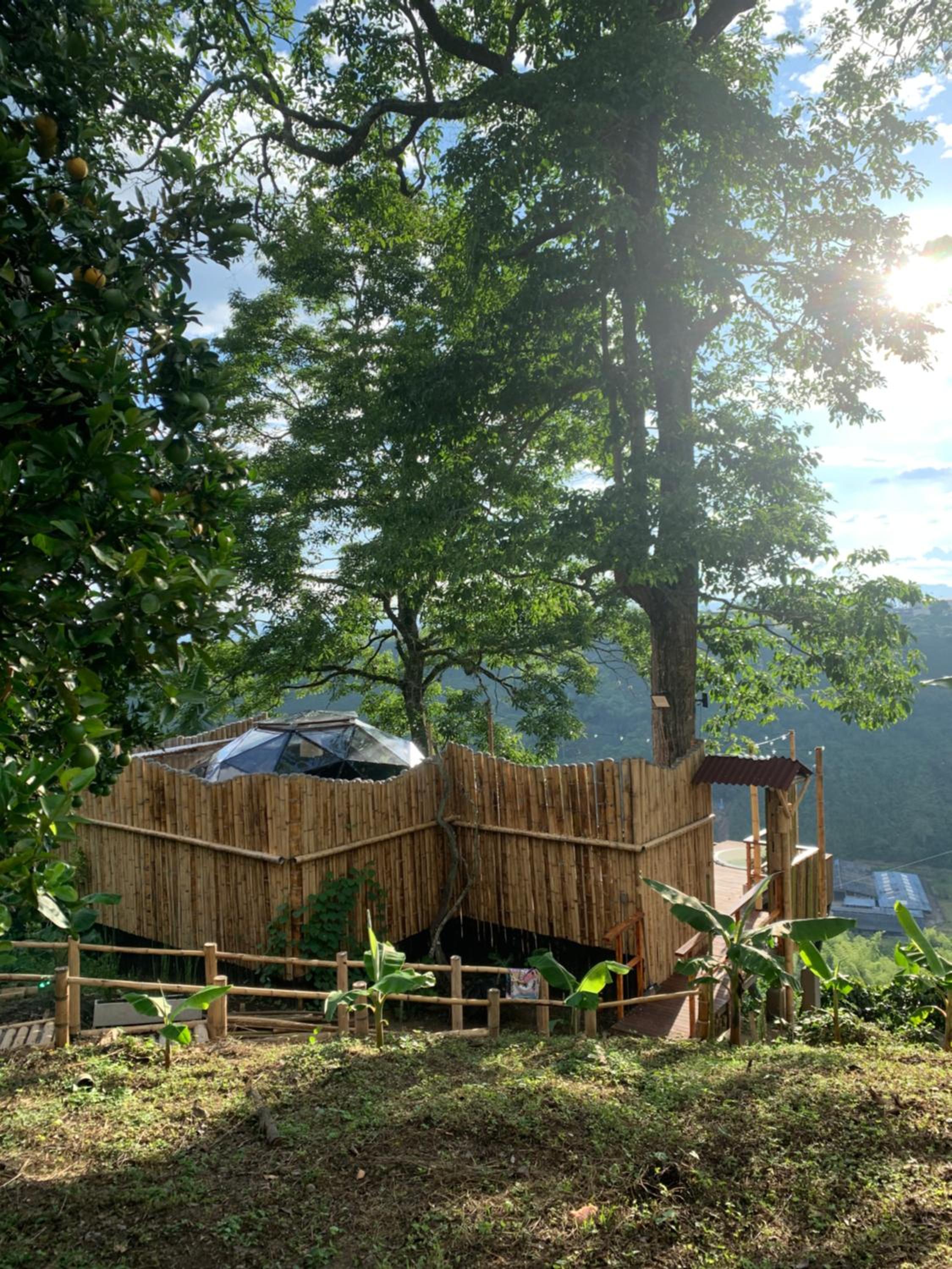 Happy Glamping Quindio - Tipo Domo Traslúcido
