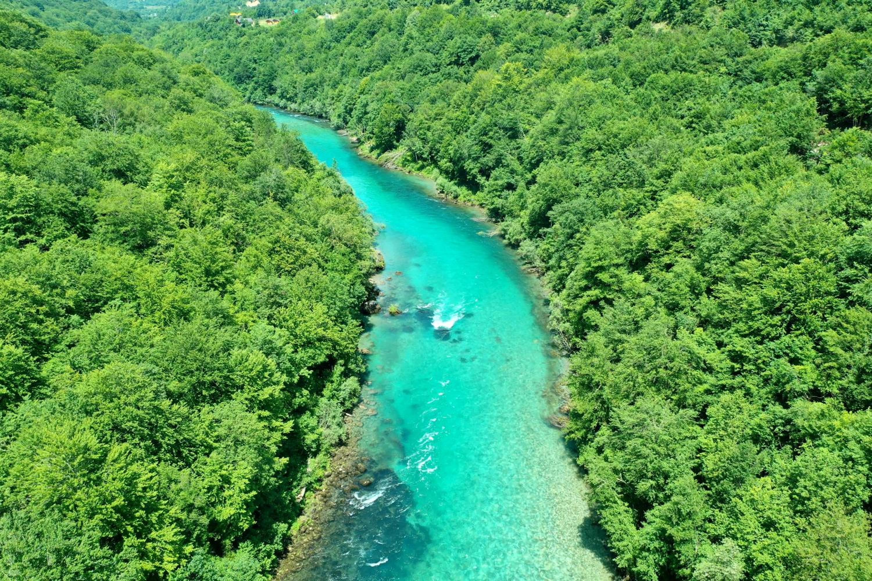 Vucja Gora