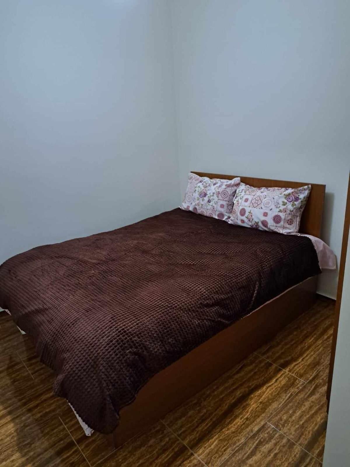 Inasaridze apartment