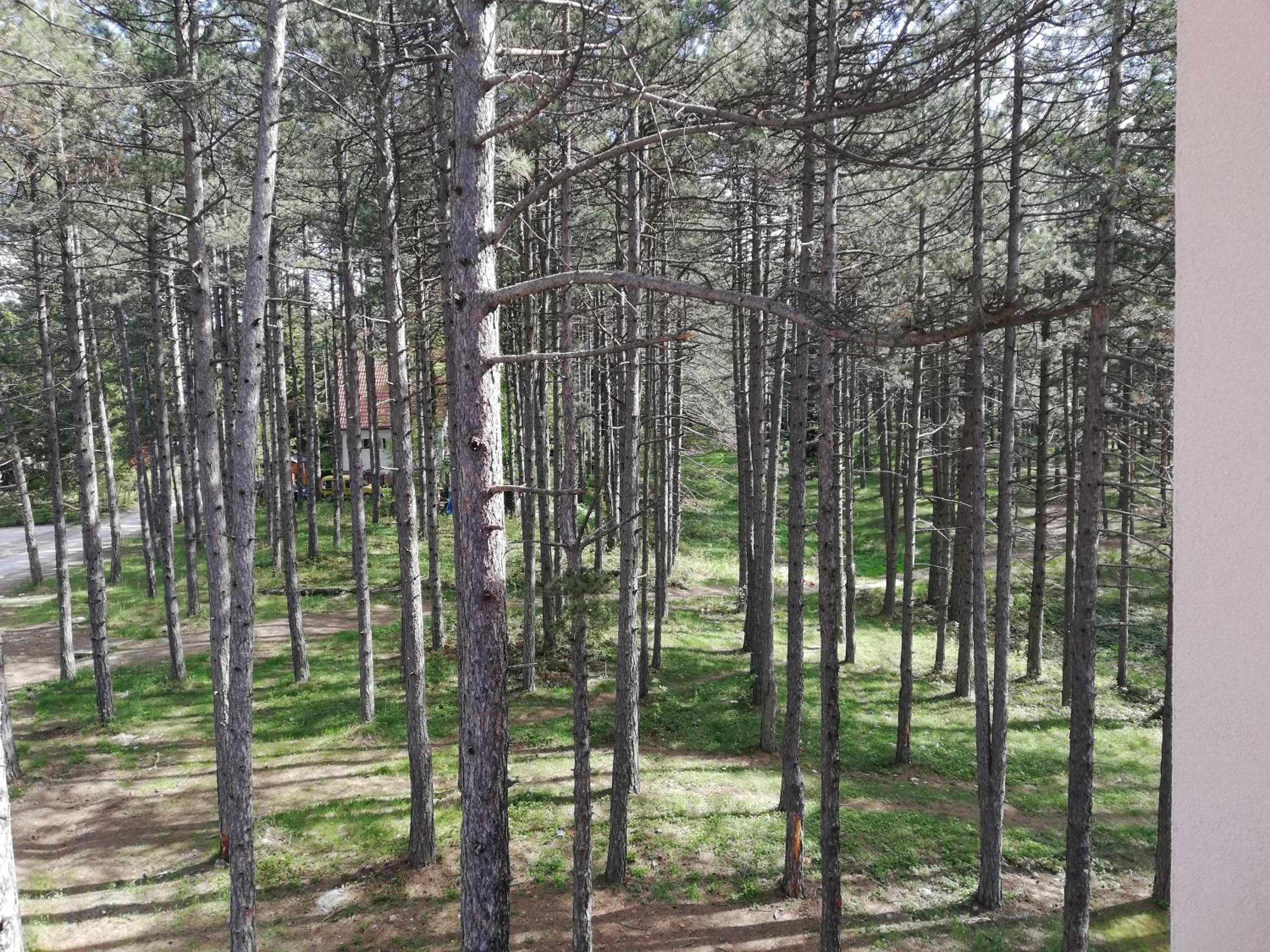 Apartman Desetka