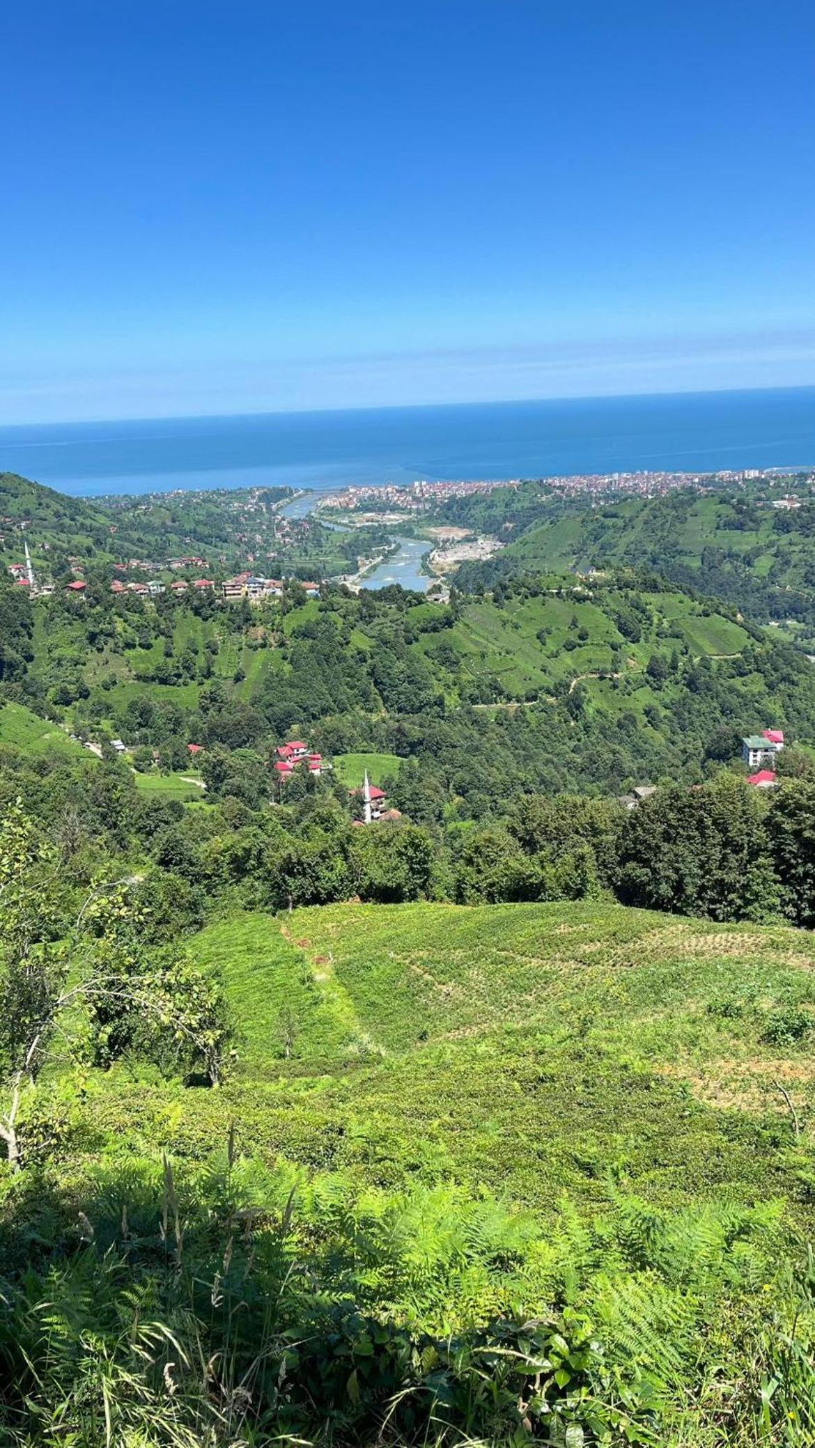 Elit Bungalov view 5