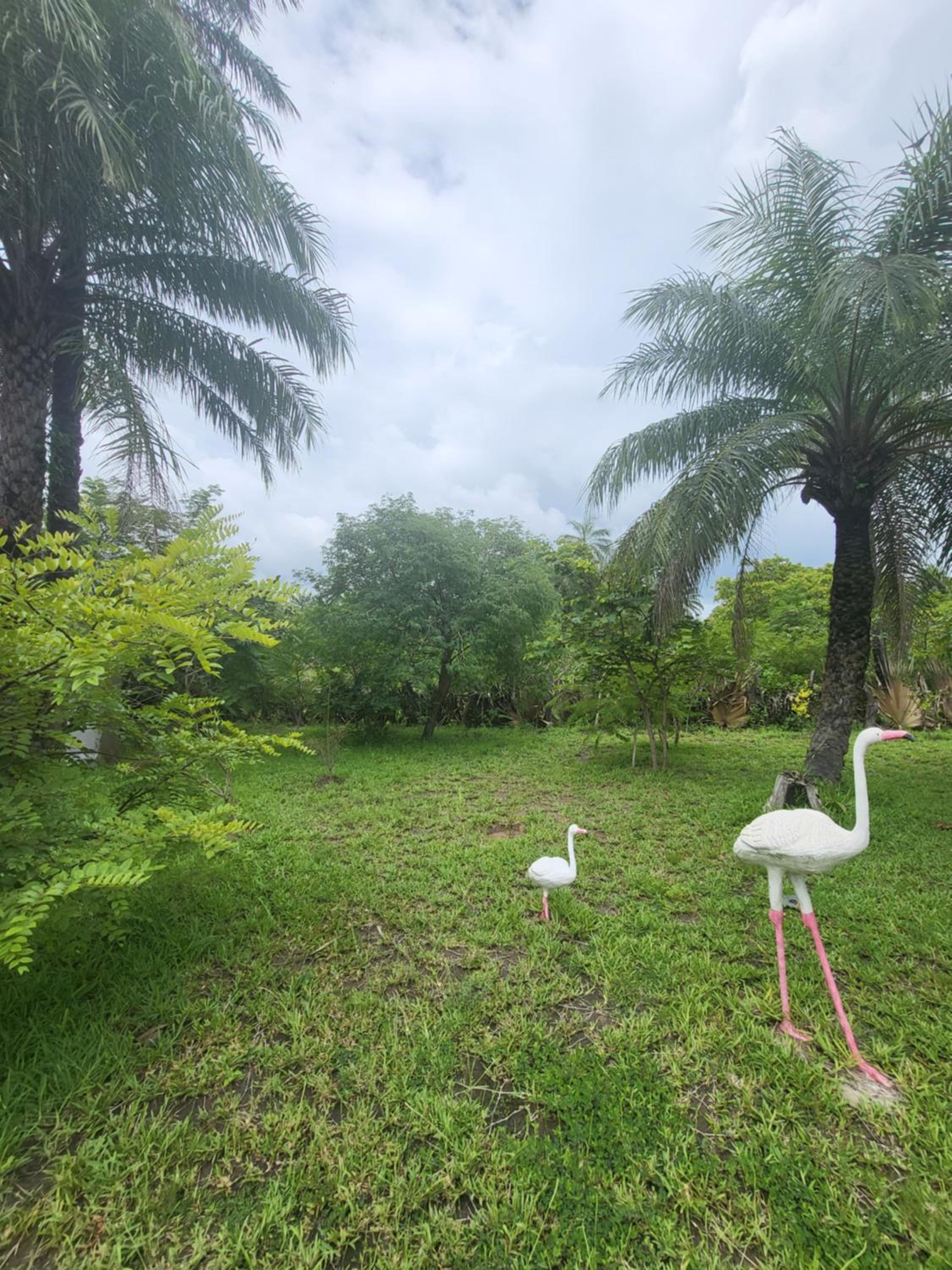 Asamai Villas