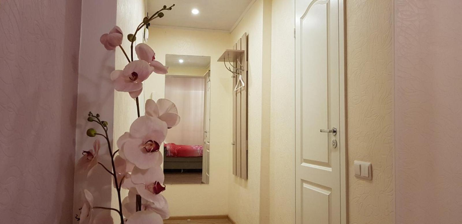 Perfect Studio in Narva center view 3