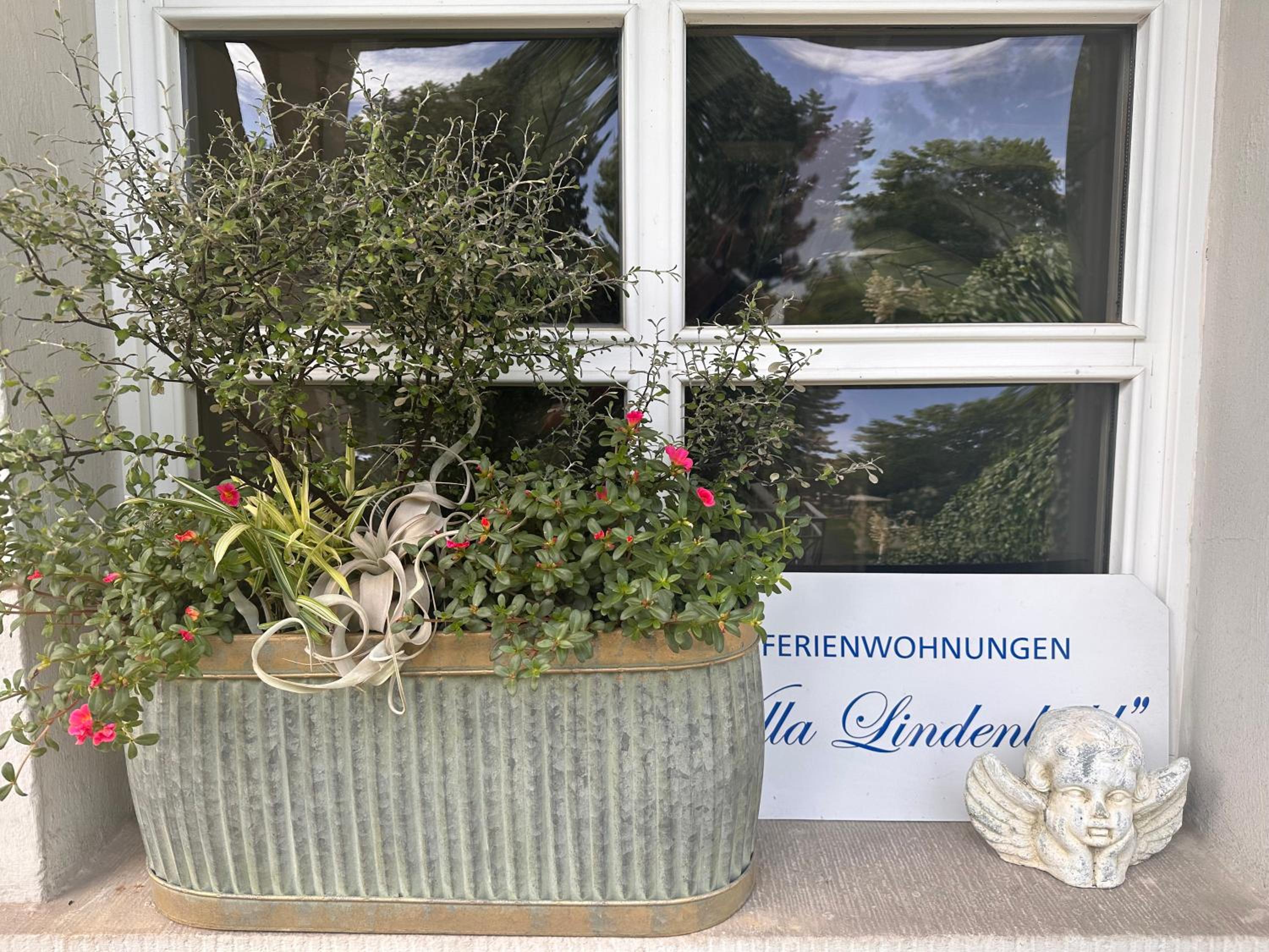 Apartmenthaus Villa Lindenbühl
