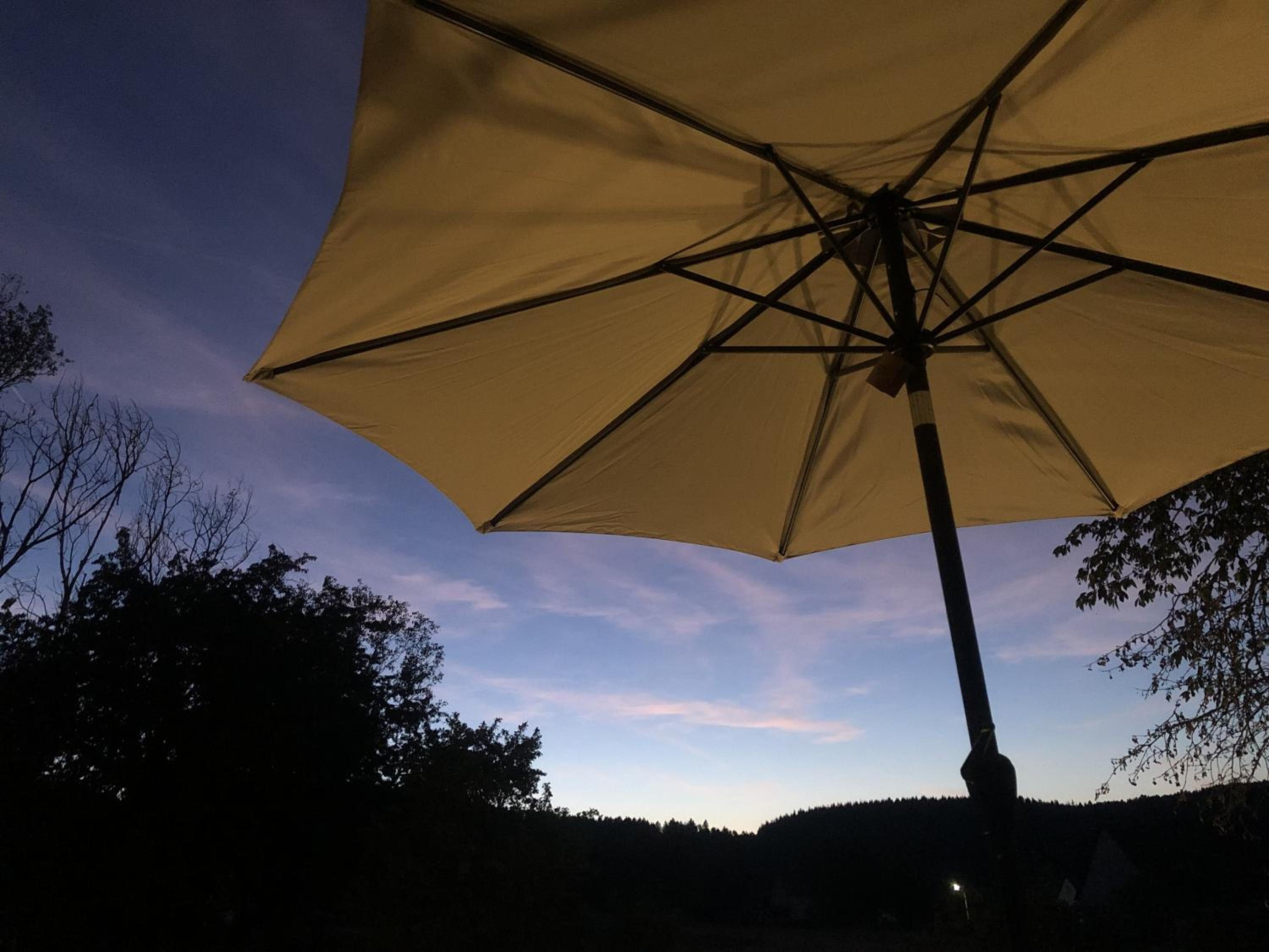 Waldmomente