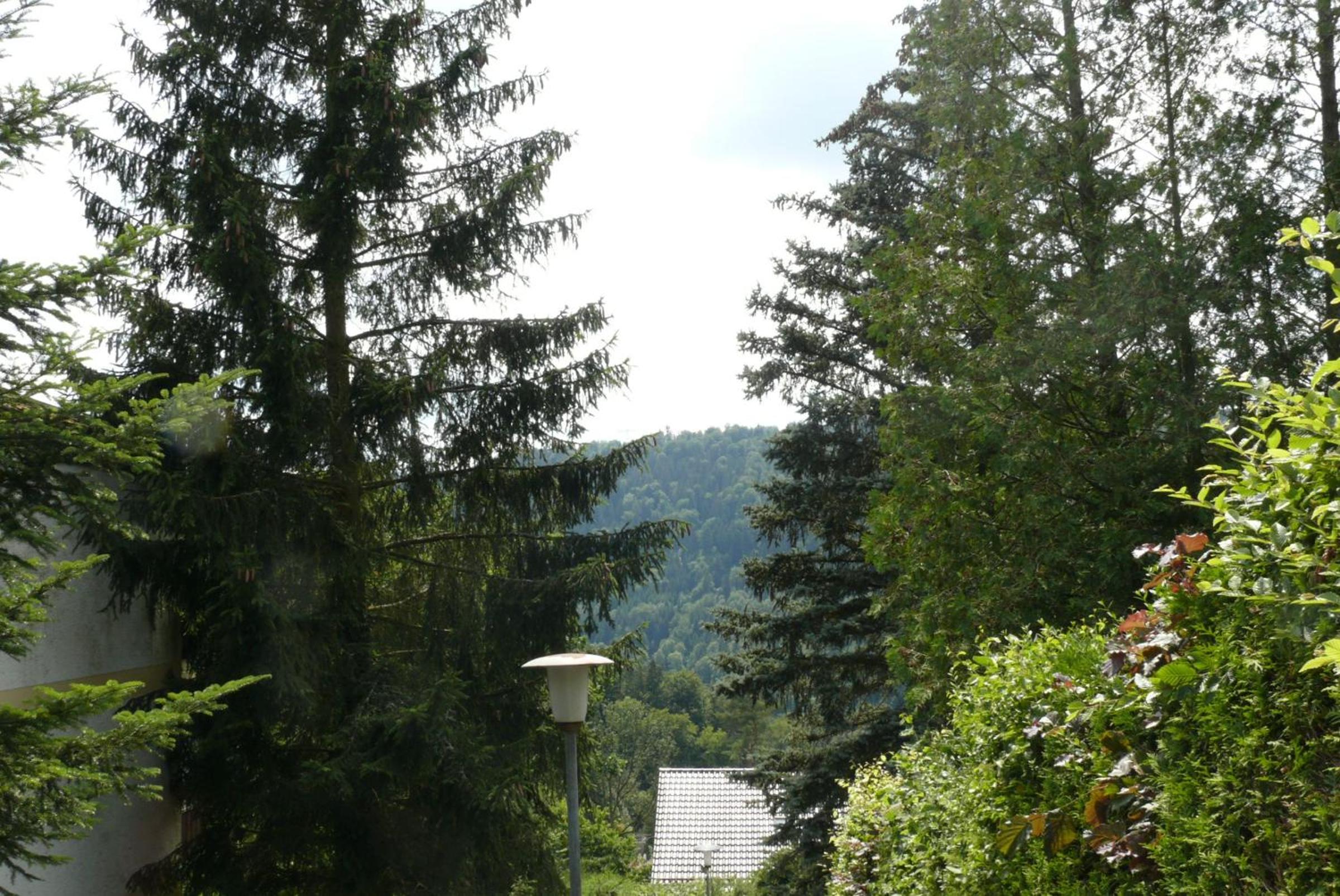 Ferienwohnung Dittmar am Kaffeehof