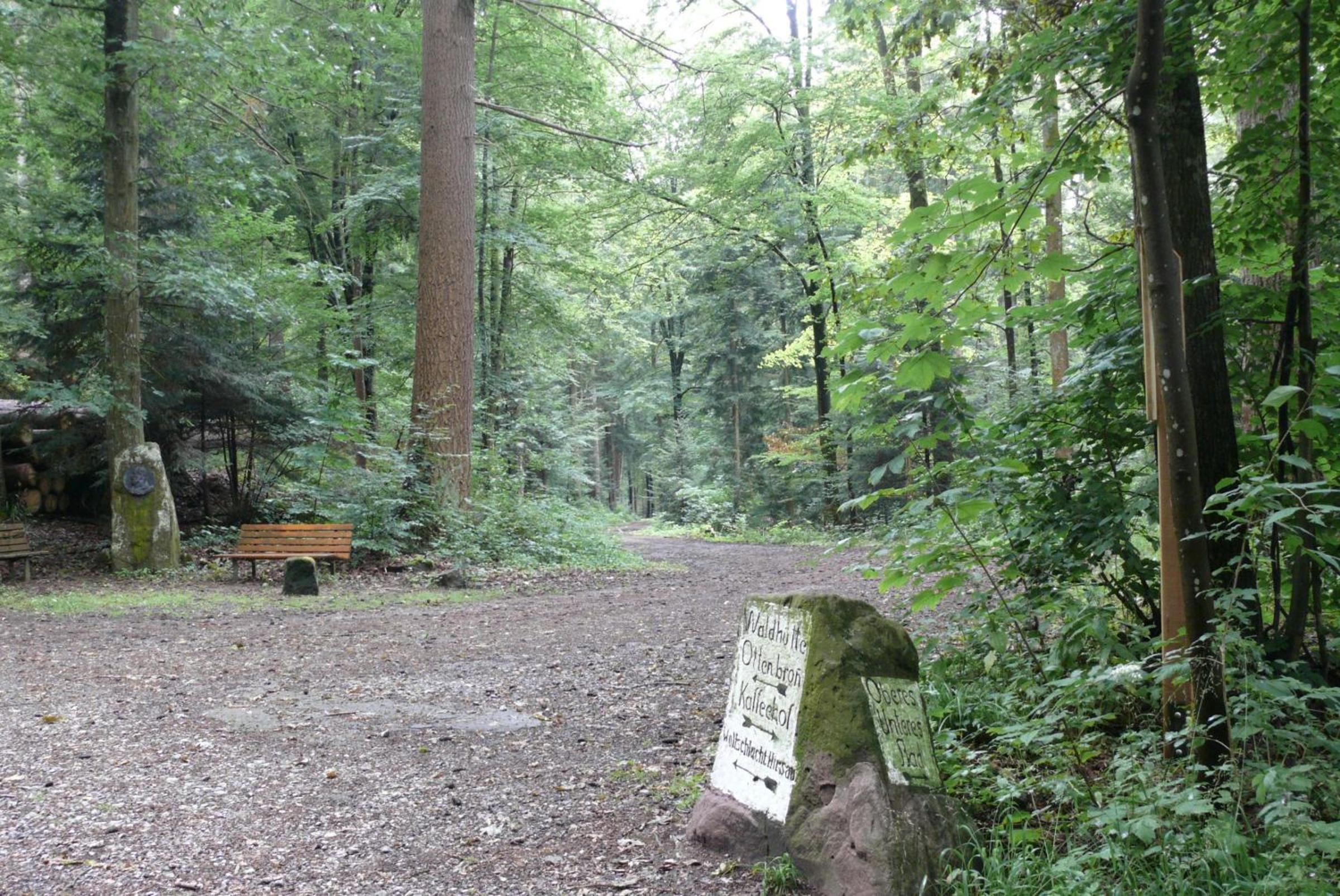 Ferienwohnung Dittmar am Kaffeehof