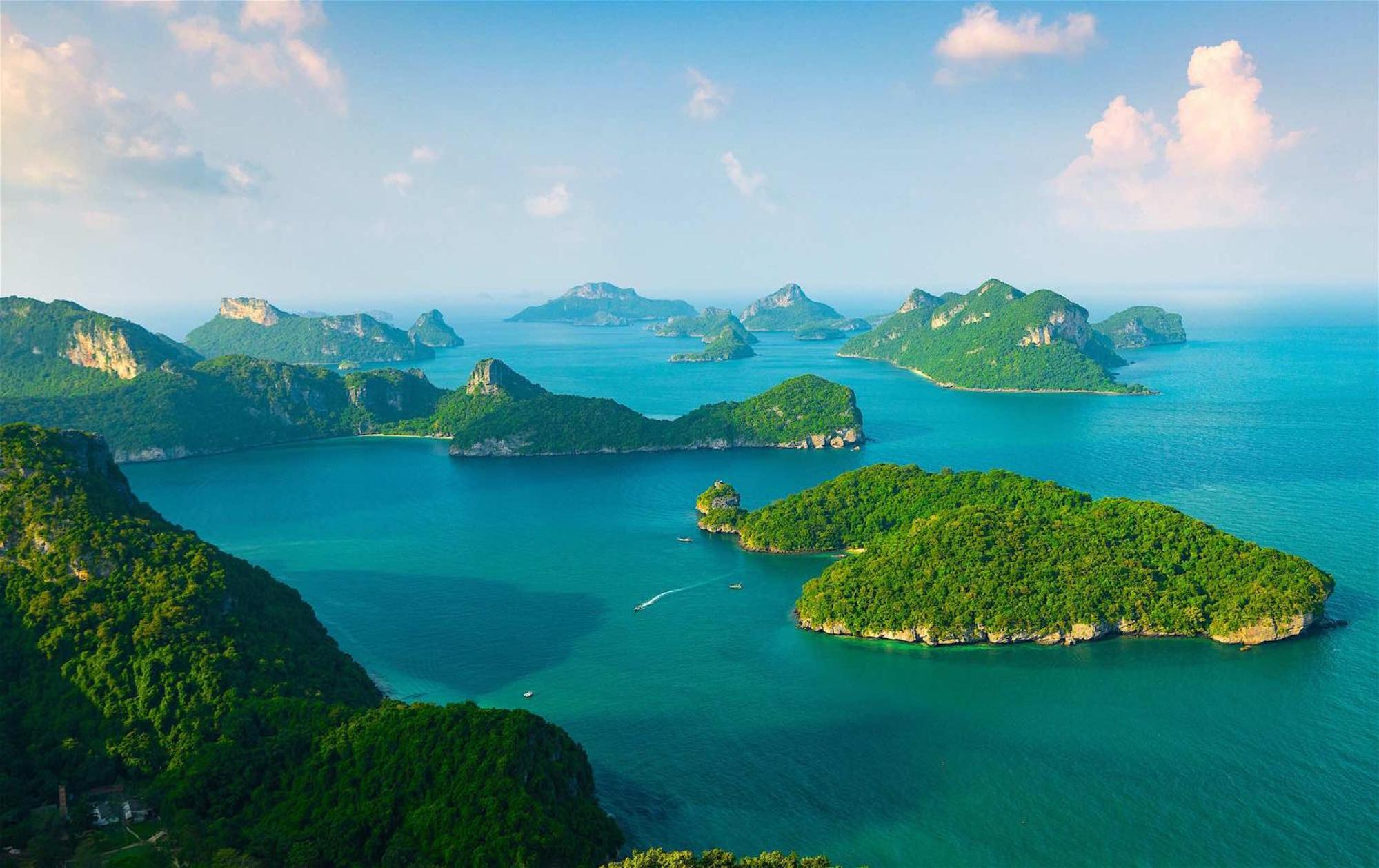 Samui Blue Bird