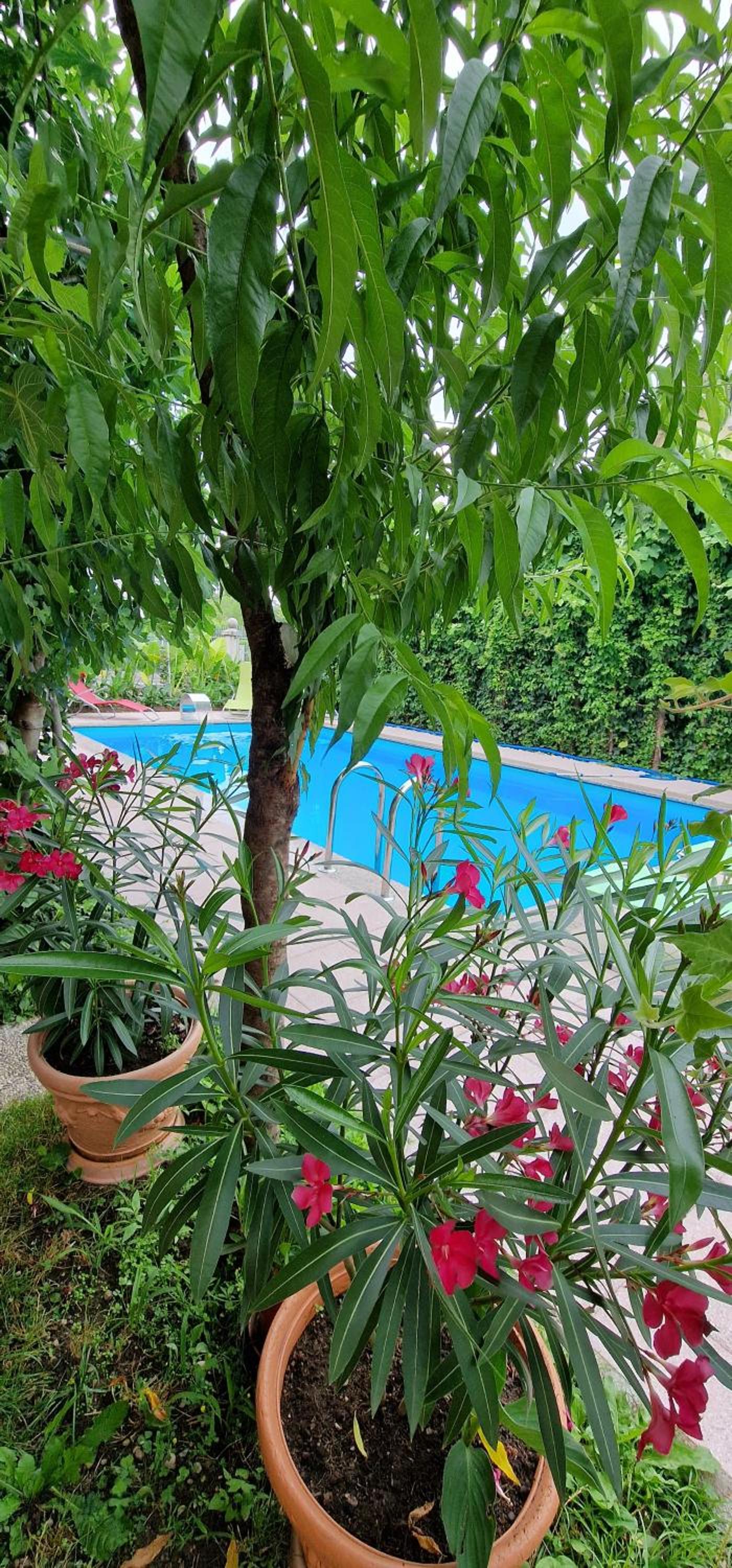 Apartman MURKO P-1 view 2