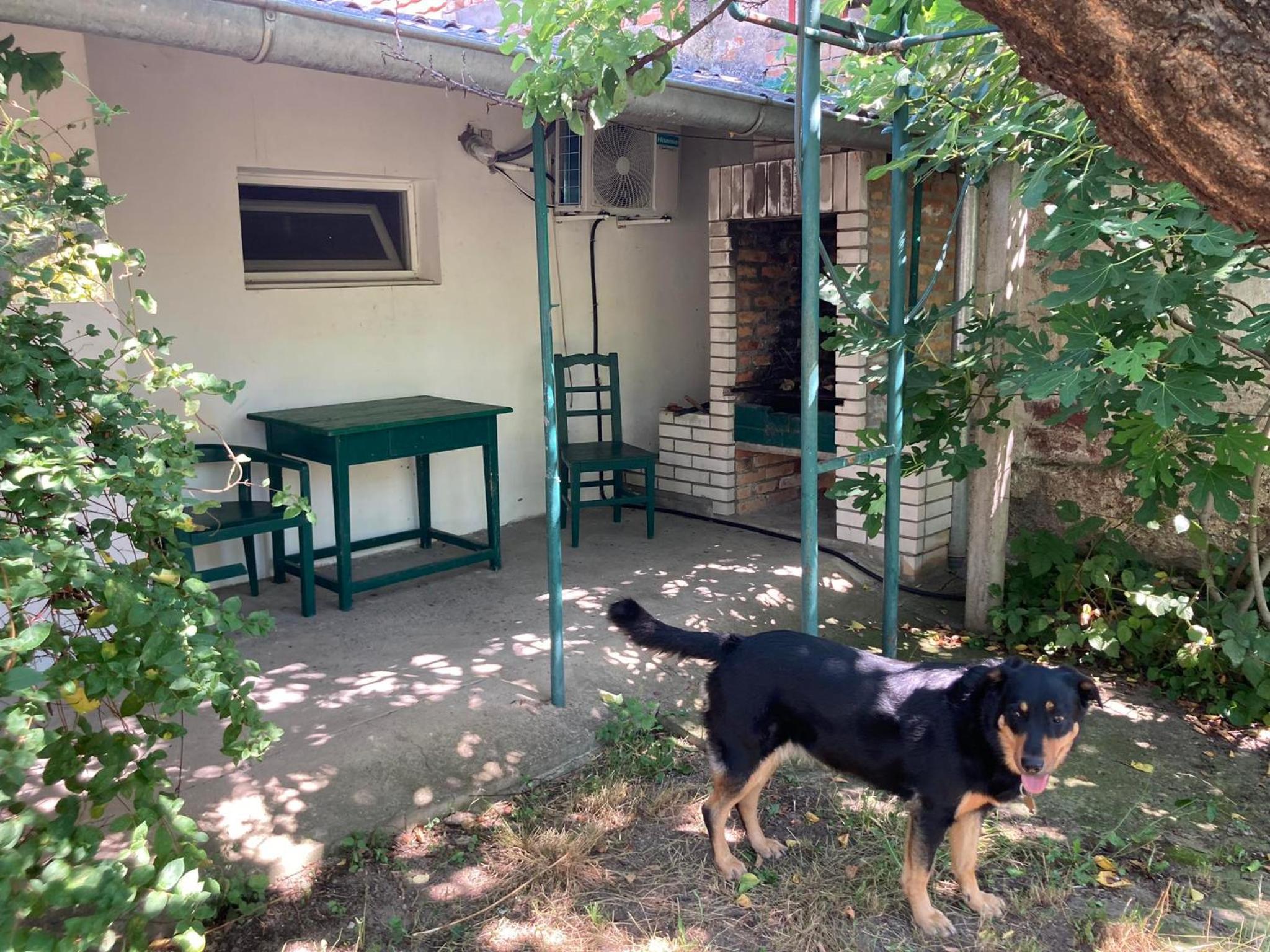 Apartman K 99, Karadjordjeva 99, Bela Crkva, photo 24