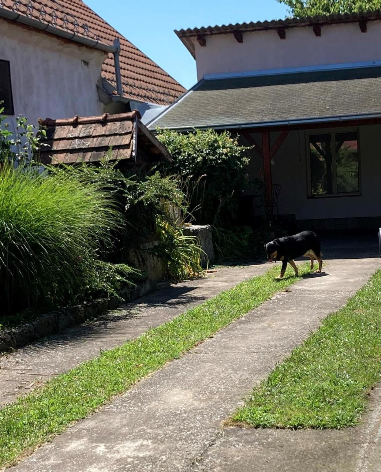 Apartman K 99, Karadjordjeva 99, Bela Crkva