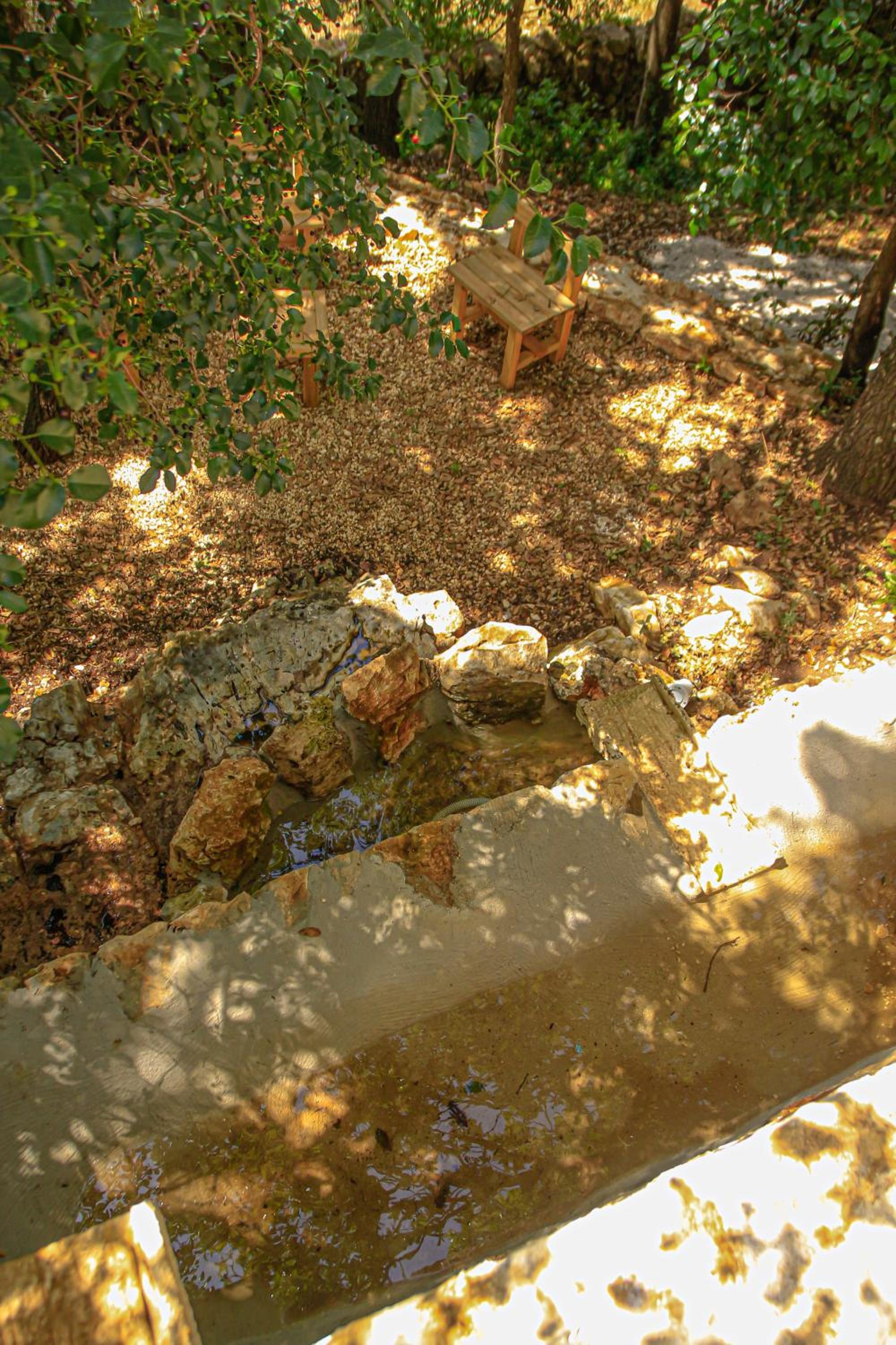 TRULLI OLISTICI