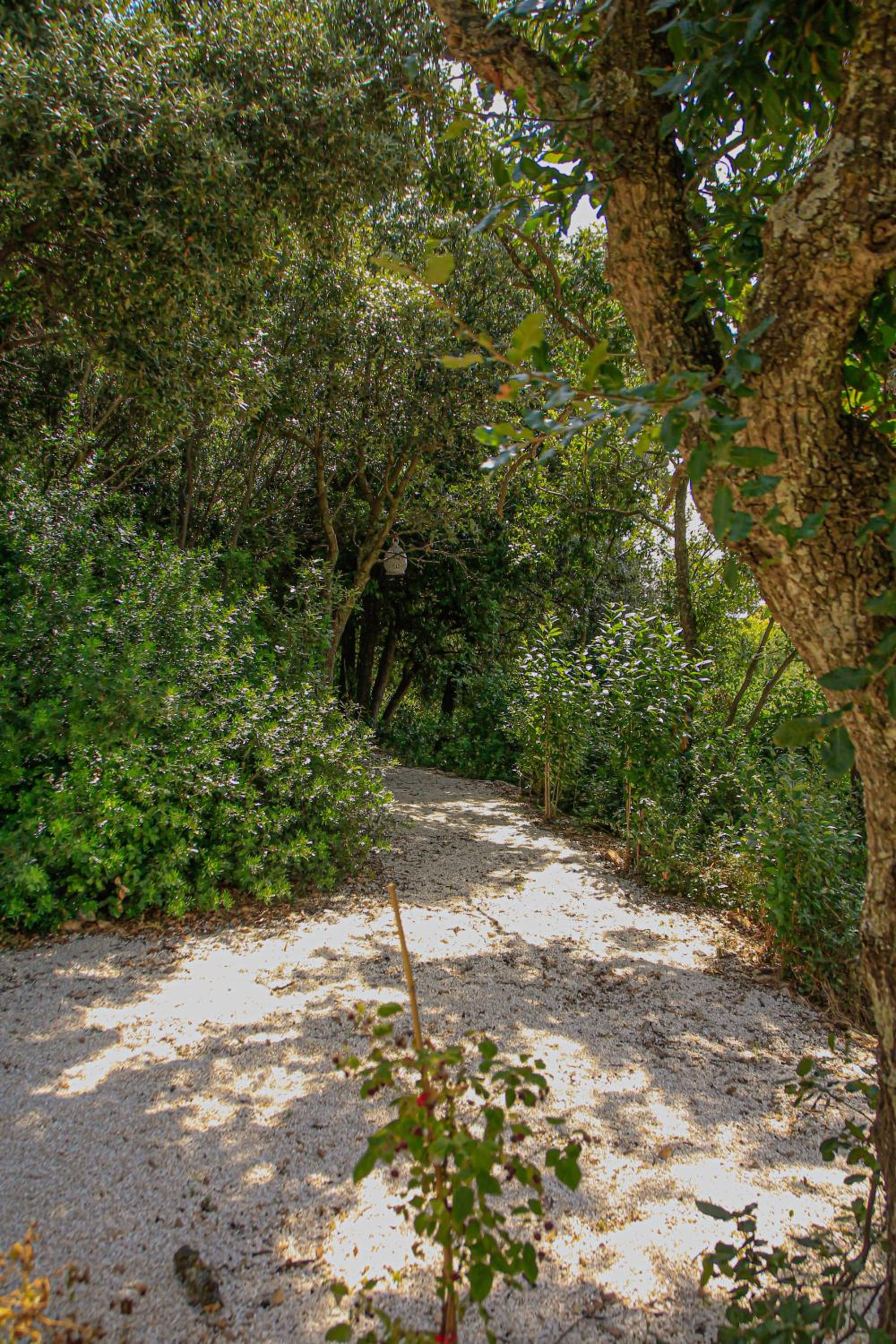 TRULLI OLISTICI