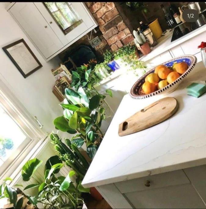 Gorgeous Grade II Listed Georgian House - Leafy Square Views - Central London