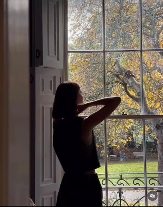 Gorgeous Grade II Listed Georgian House - Leafy Square Views - Central London