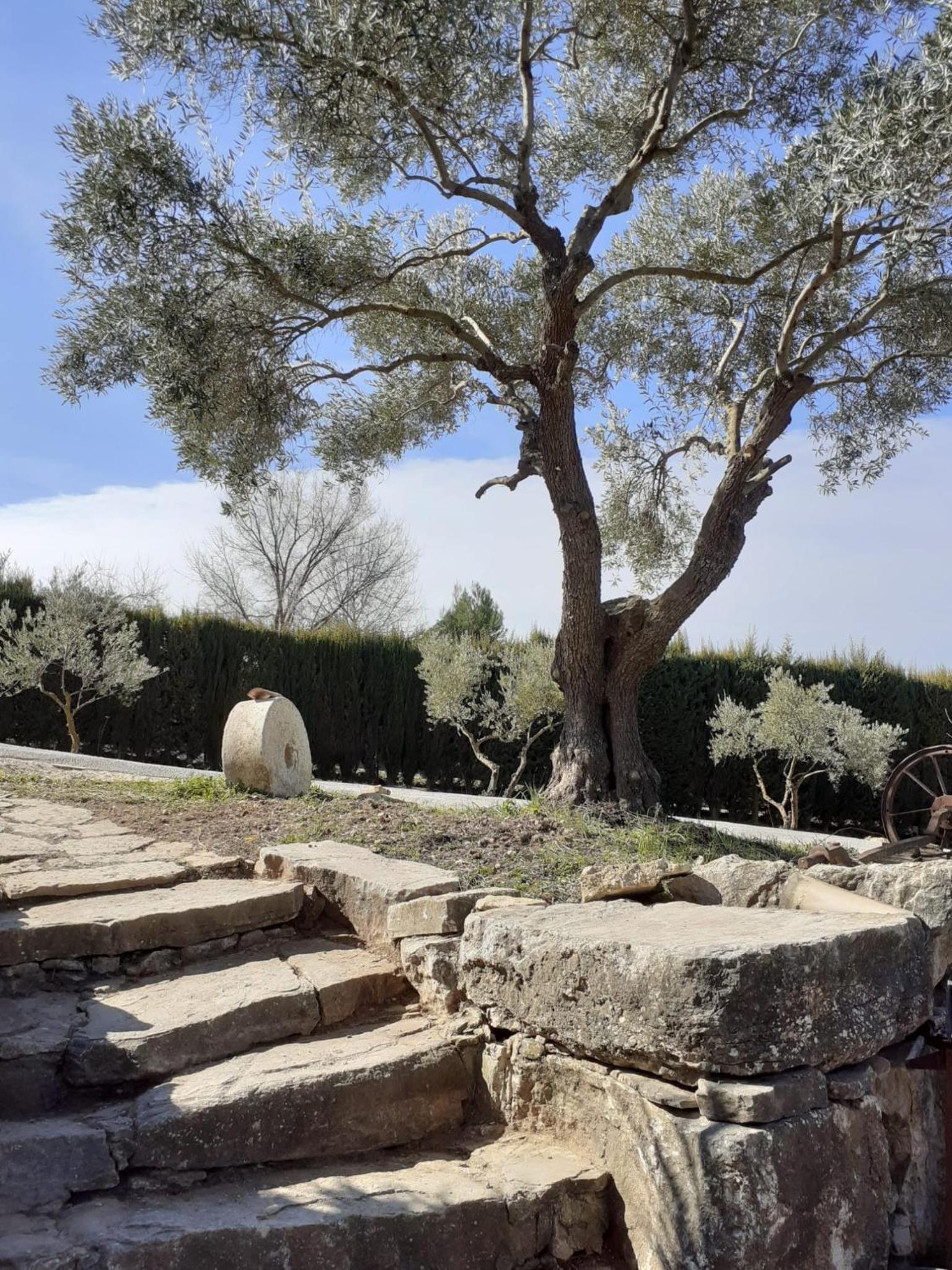 Villa La Escollera Ronda