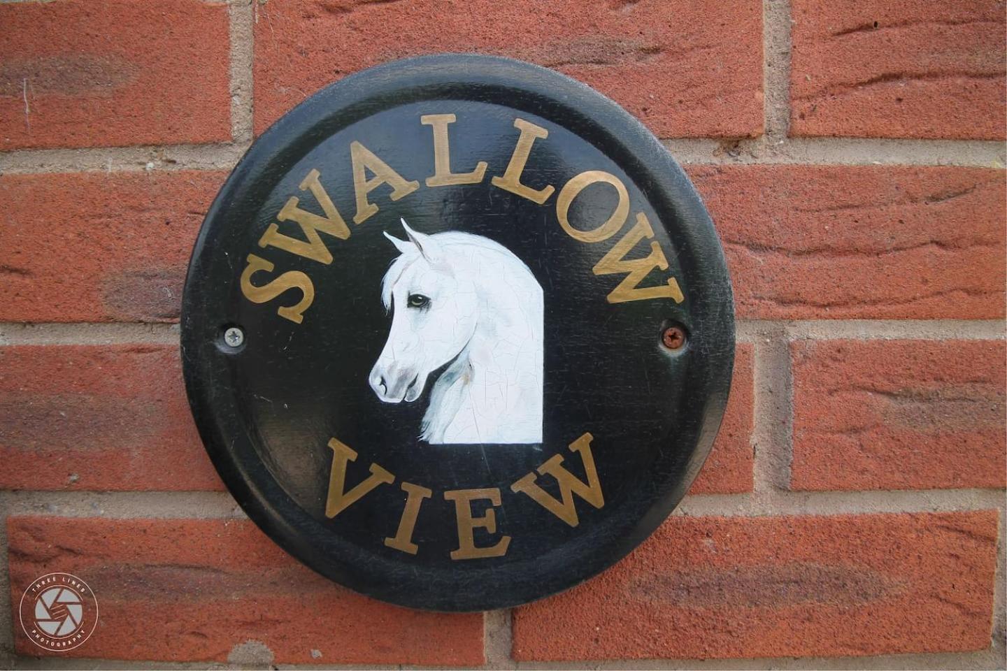 swallow view