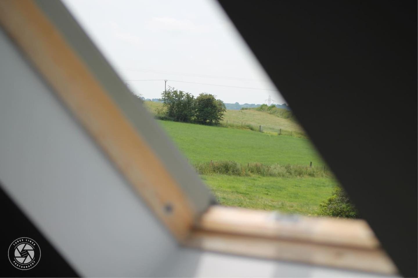 swallow view
