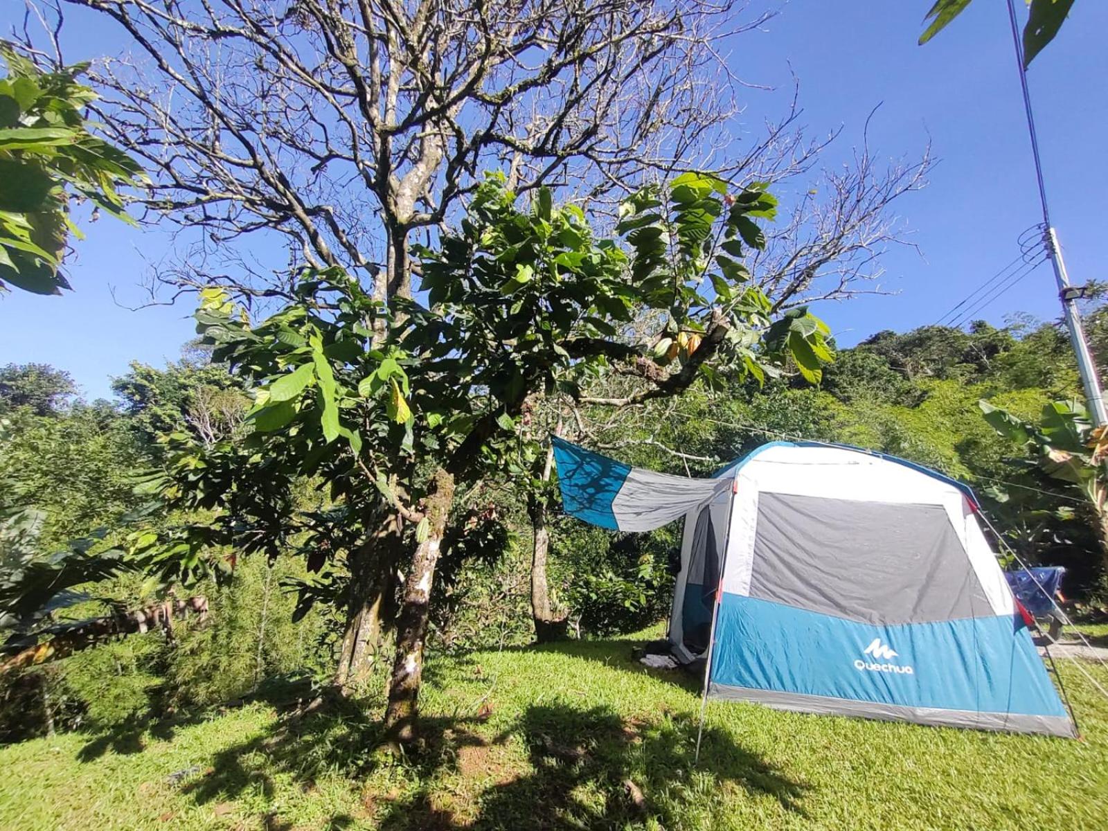 Cabañas orquídea