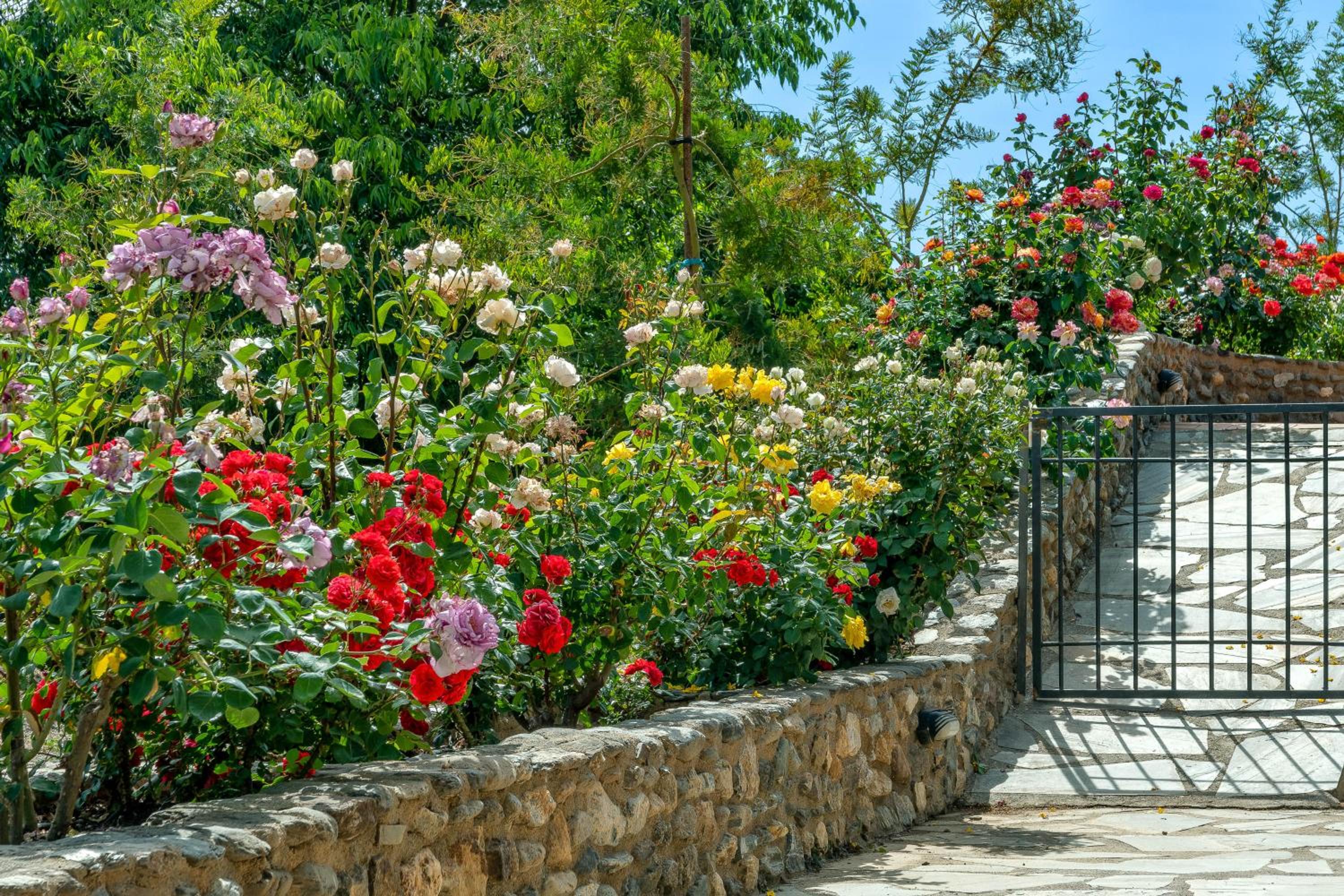 Alpujarra Sulayr