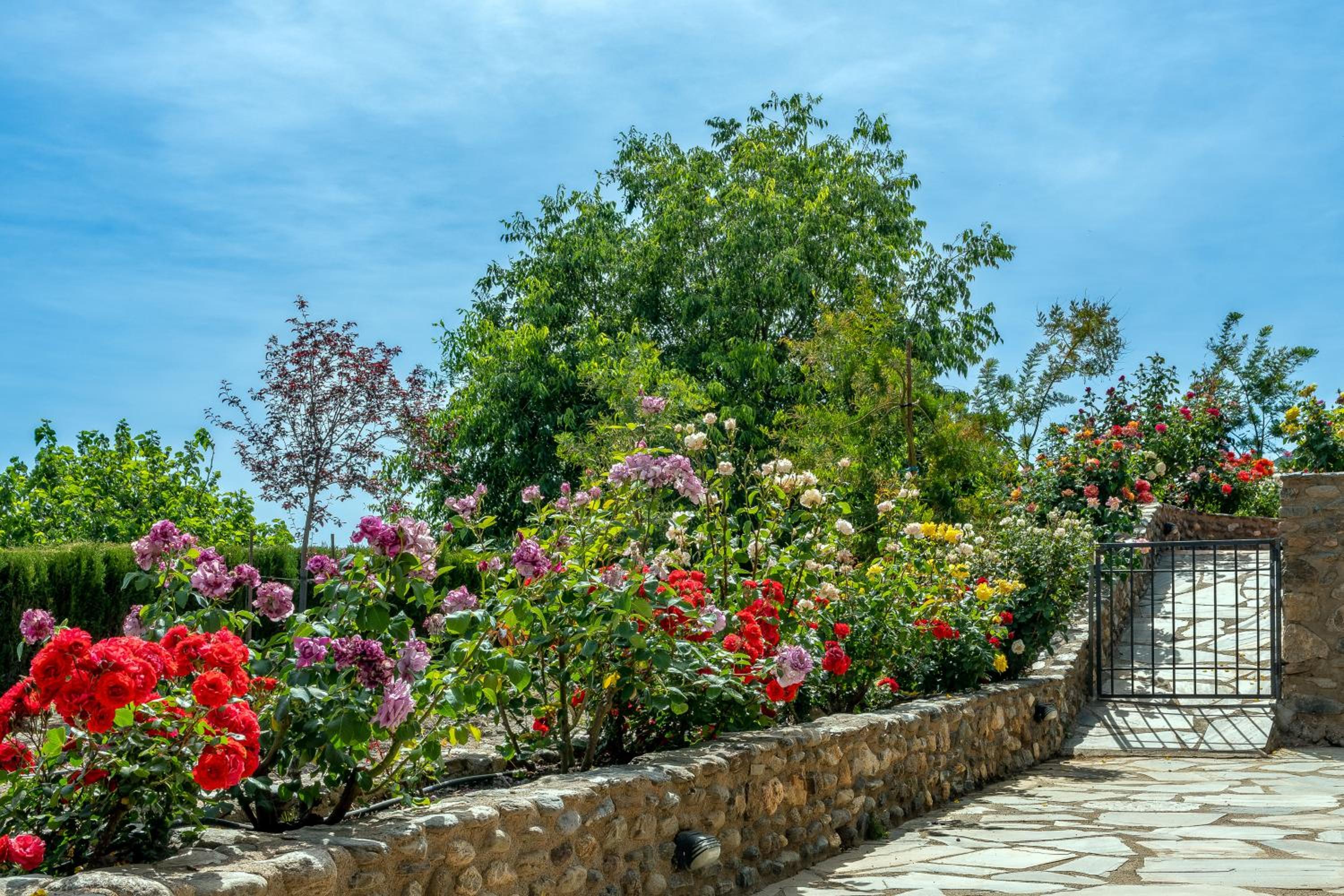 Alpujarra Sulayr