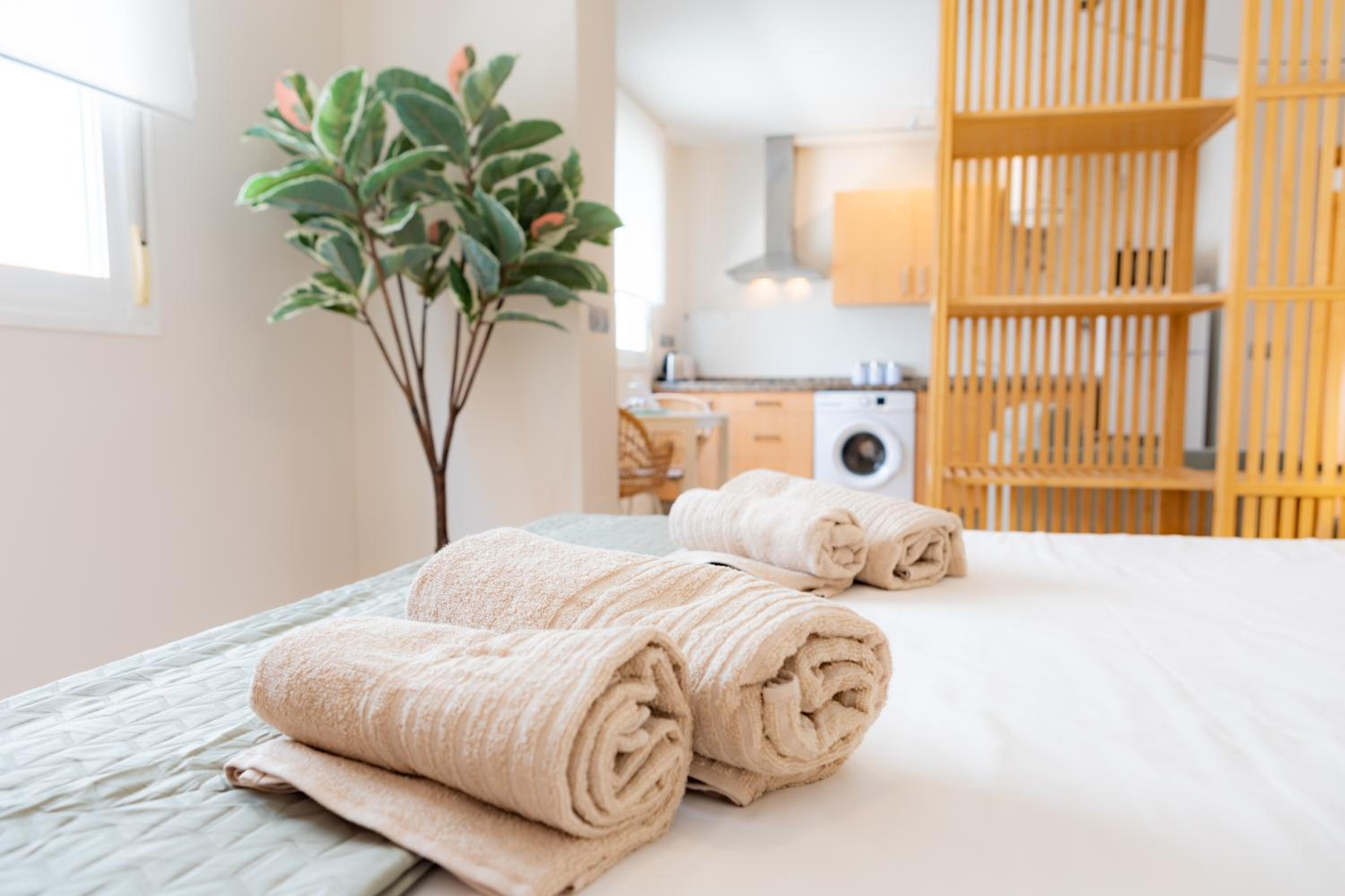 Teatro Suites Málaga CITY FLAT