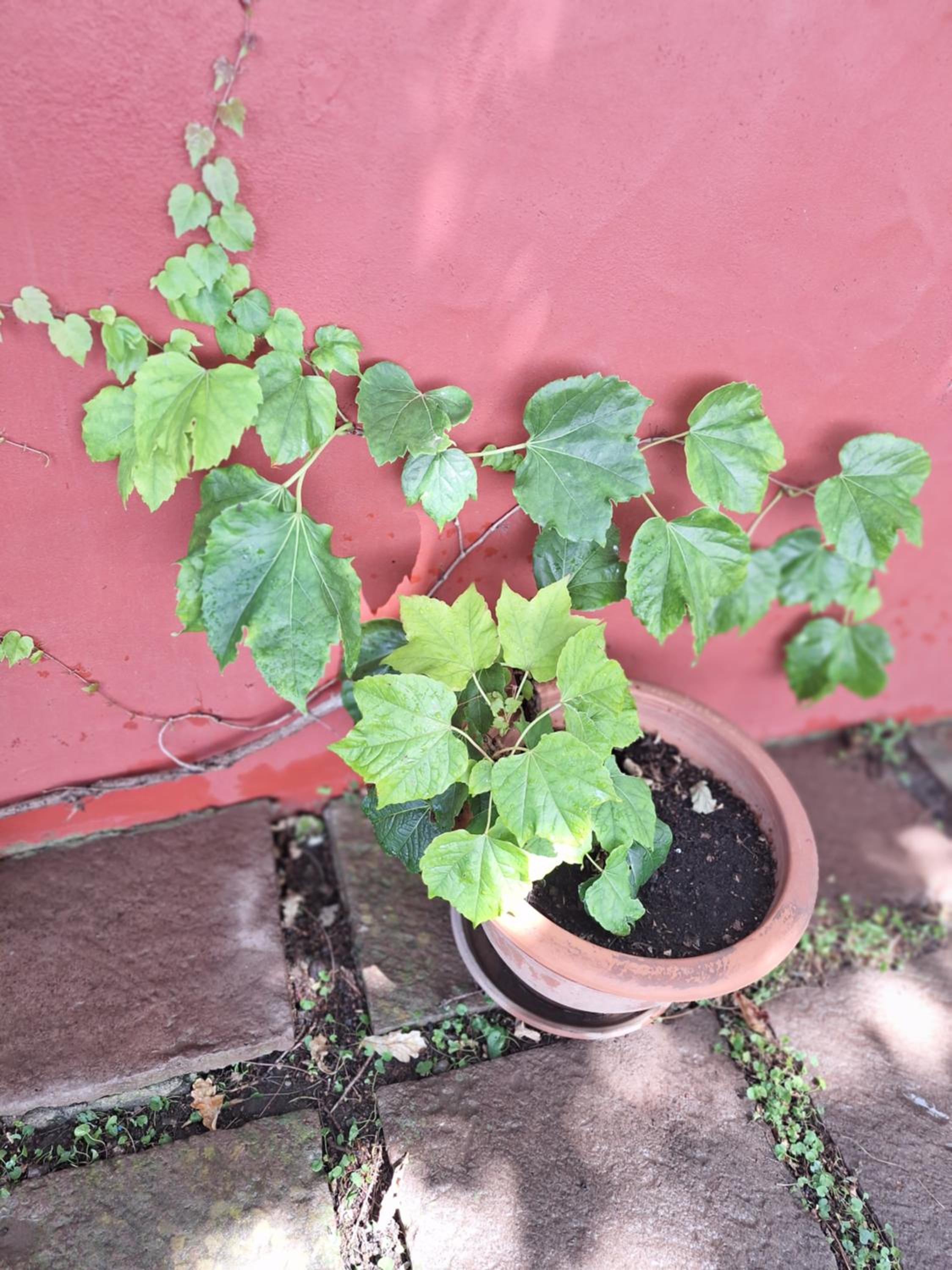 Photo 44