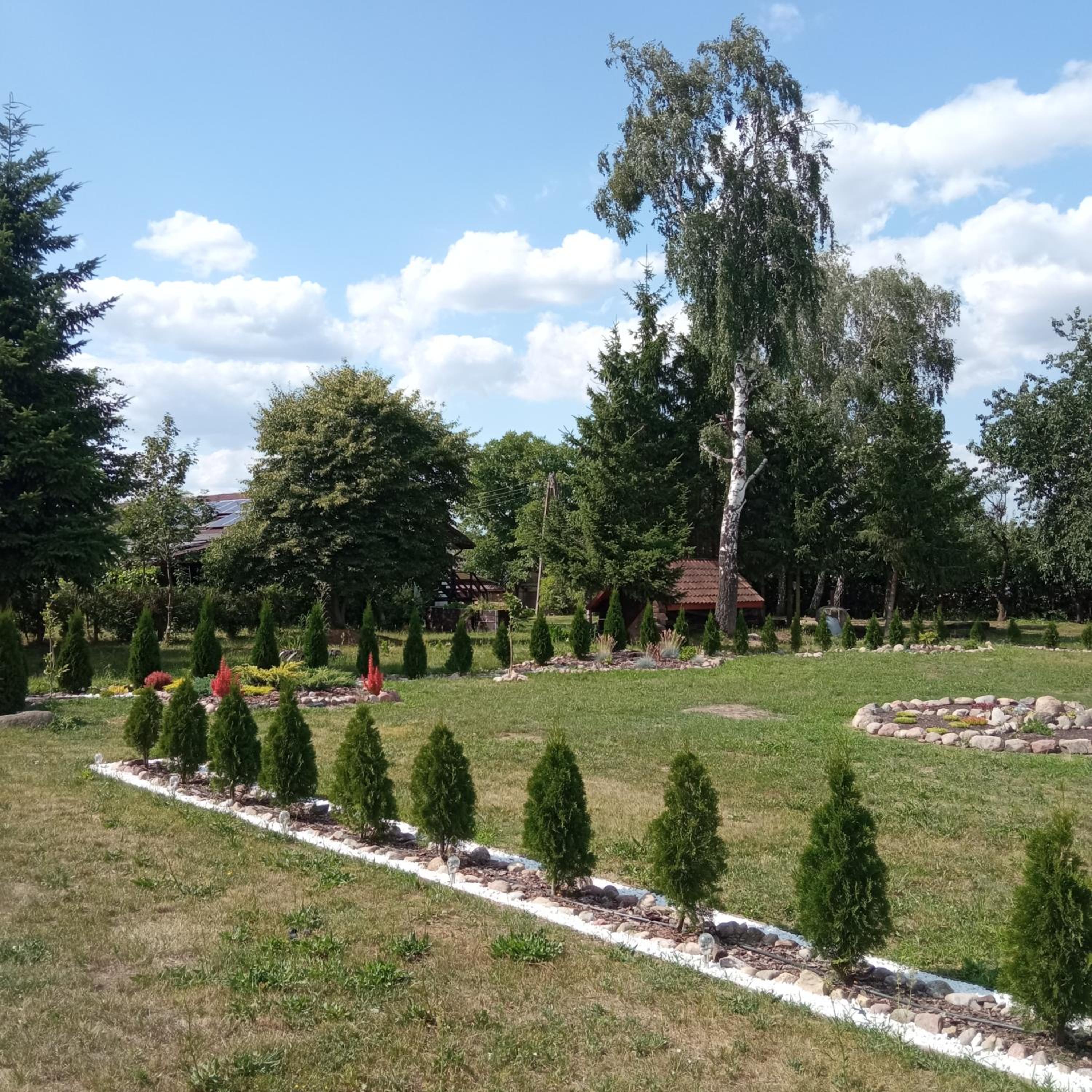 Photo 40